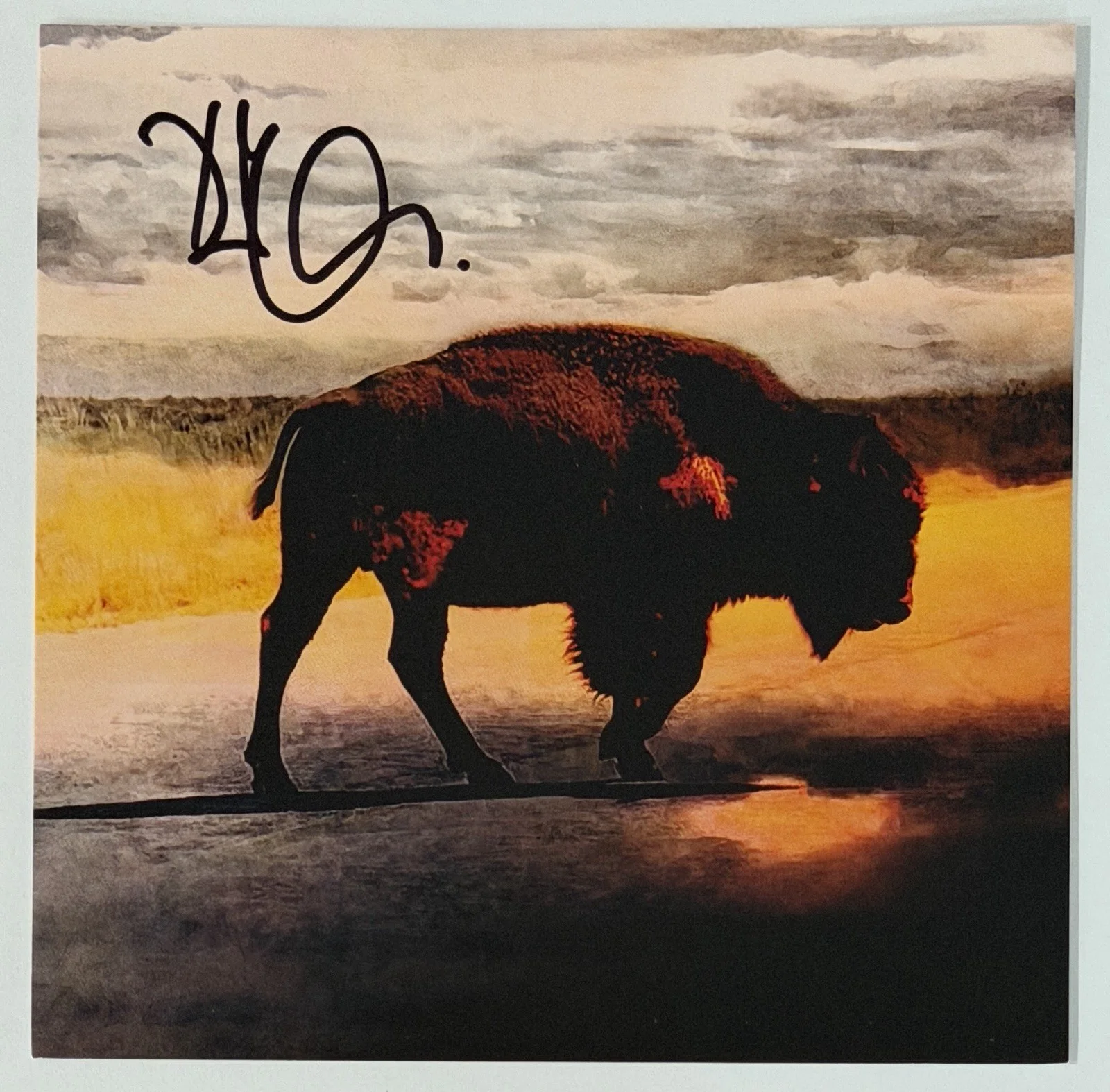 ROBERT PLANT SIGNED SAVING GRACE ALBUM COVER ART CARD & CD PSA DNA COA AUTOGRAPH, изображение 2