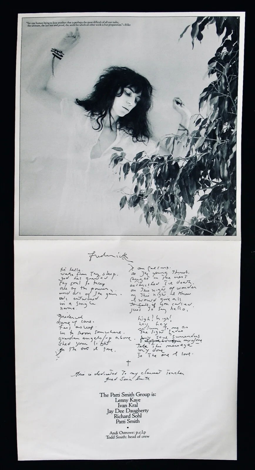 PATTI SMITH~Signed WAVE Album~Punk Rock Priestess~Near Mint Vinyl With Poster!, изображение 4