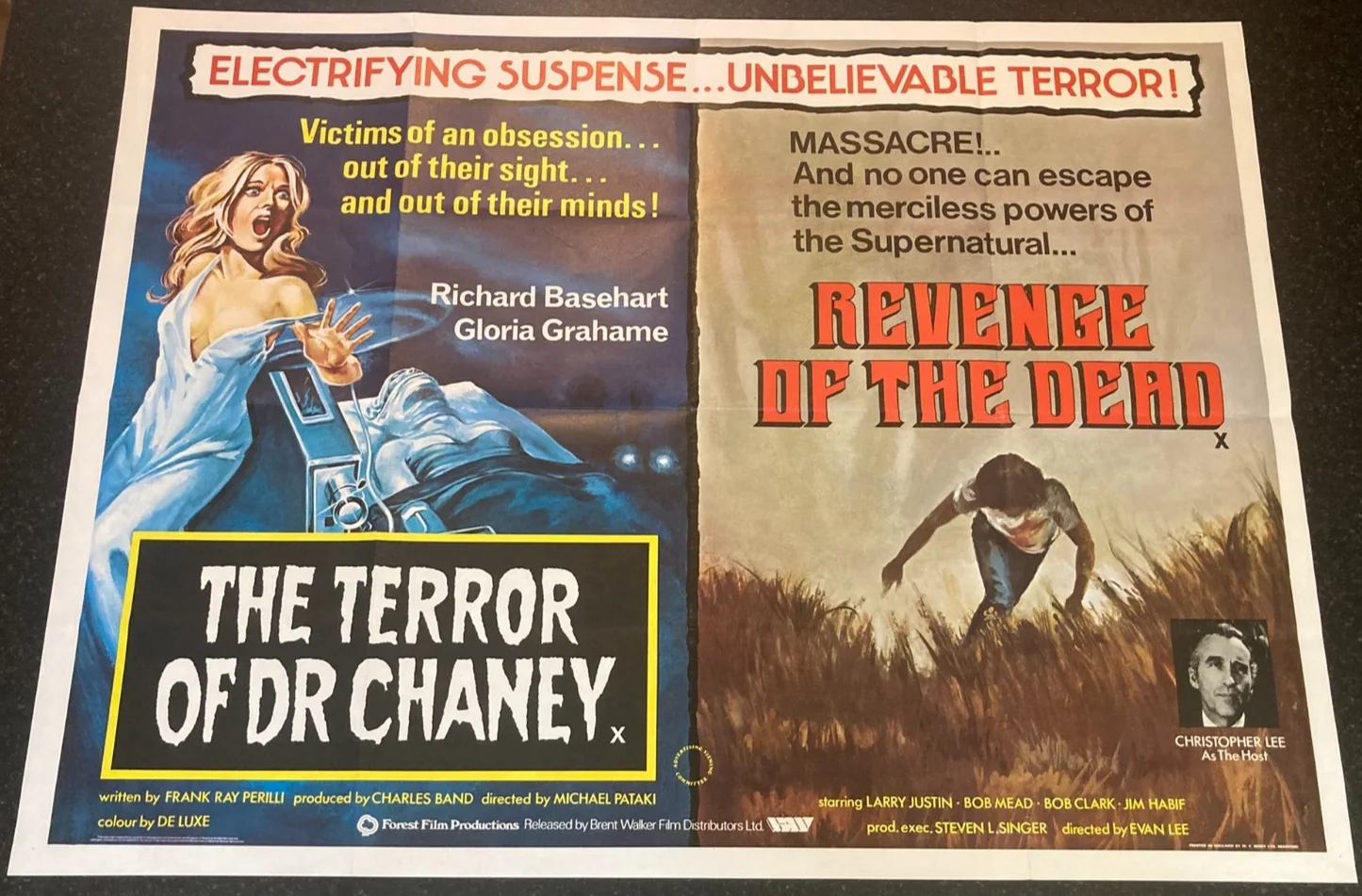 THE TERROR OF DR CHANEY & REVENGE OF THE DEAD (1977) D/Bill UK Quad Movie POSTER, изображение 2