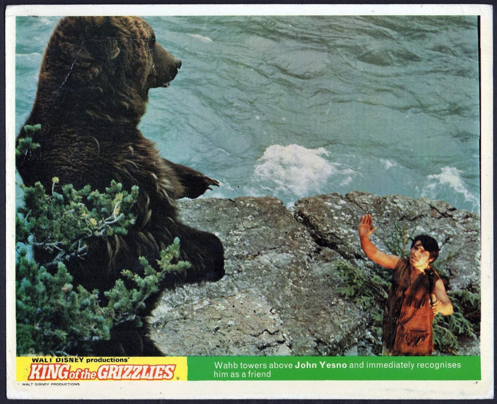 KING OF THE GRIZZLIES 1970 John Yesno - Walt Disney 3 UK 10x8 LOBBY CARDS, изображение 2