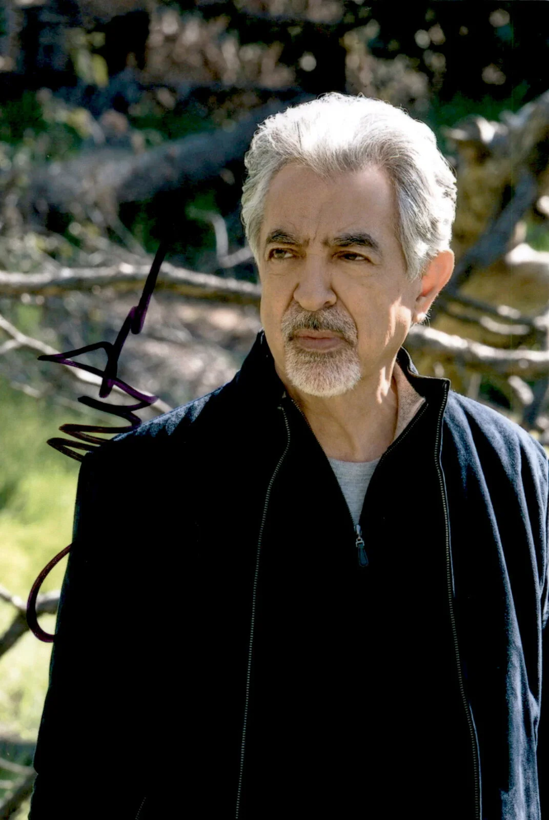 Joe Mantegna — Joe Mantegna Signed Autographed 4x6 Photo Criminal Minds "David Rossi"