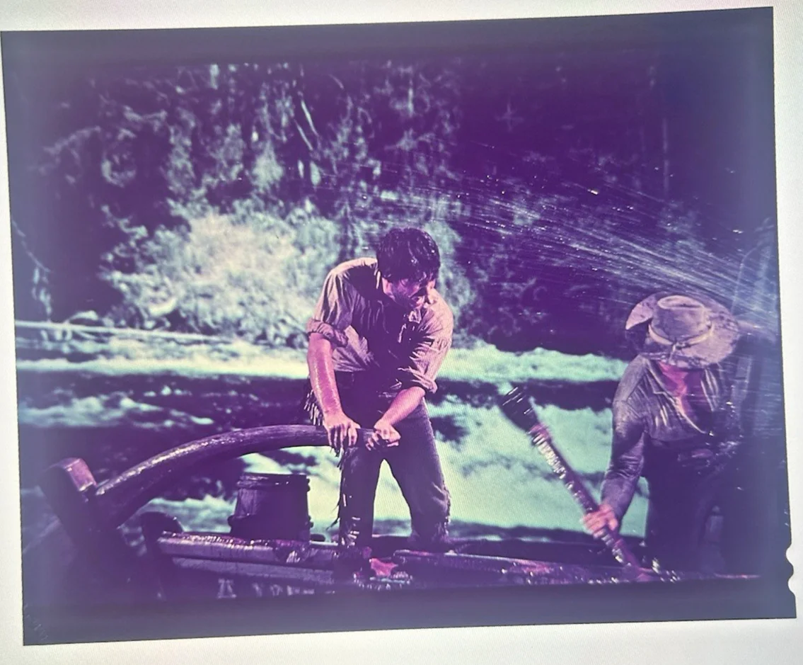 Davy Crocket Film Cell - Original 1950's Production Used - Fess Parker - v3, image 3