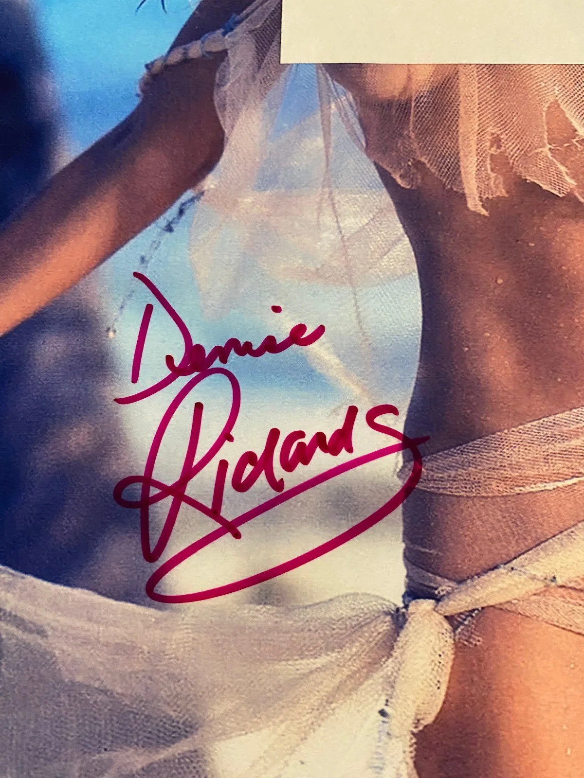 Denise Richards — Denise Richards Signed Photo Auto, image 2