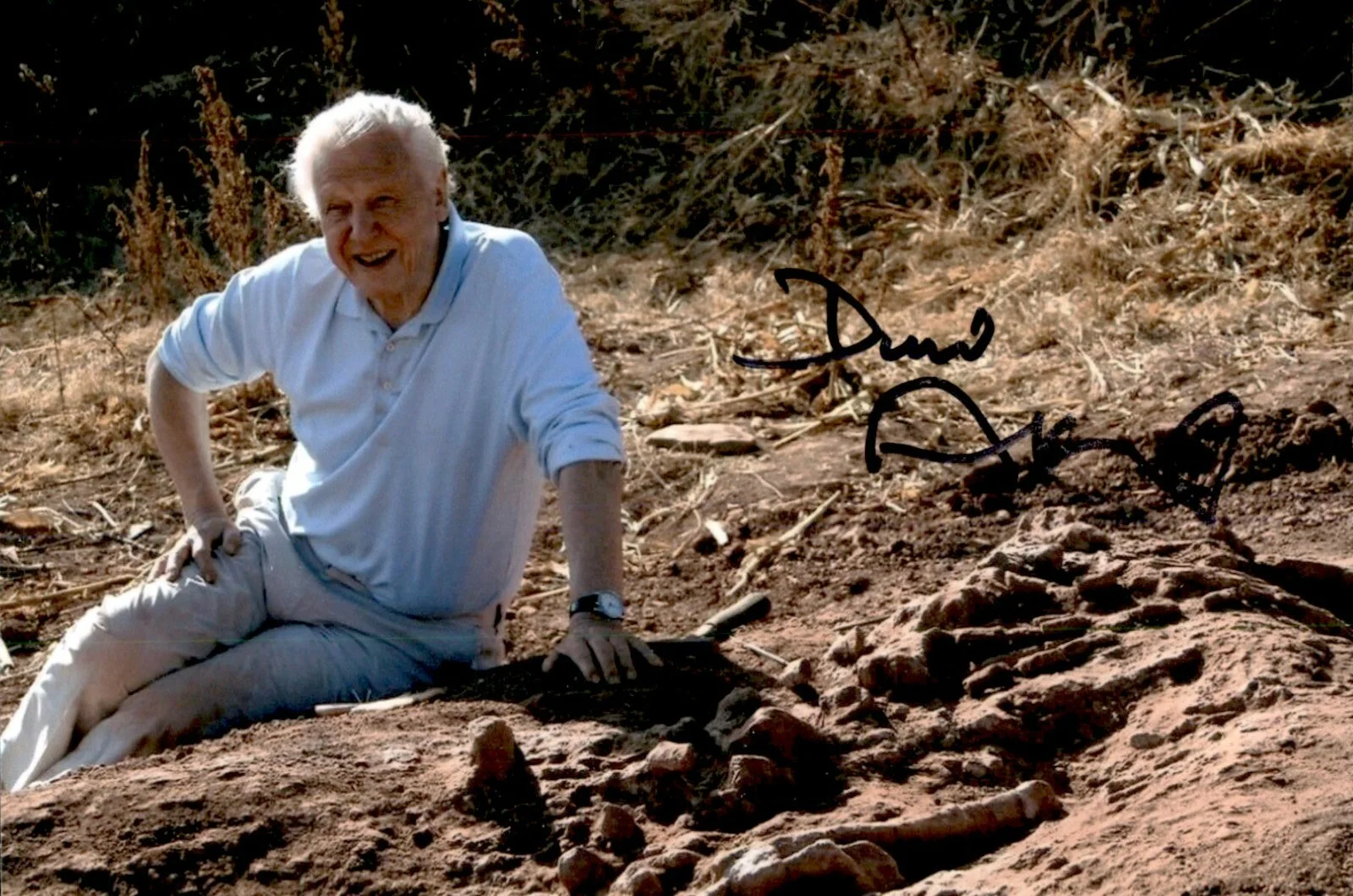 A LIFE ON OUR PLANET — David Attenborough Signed Autograph 4x6 Photo A Life On Our Planet Naturalist #3