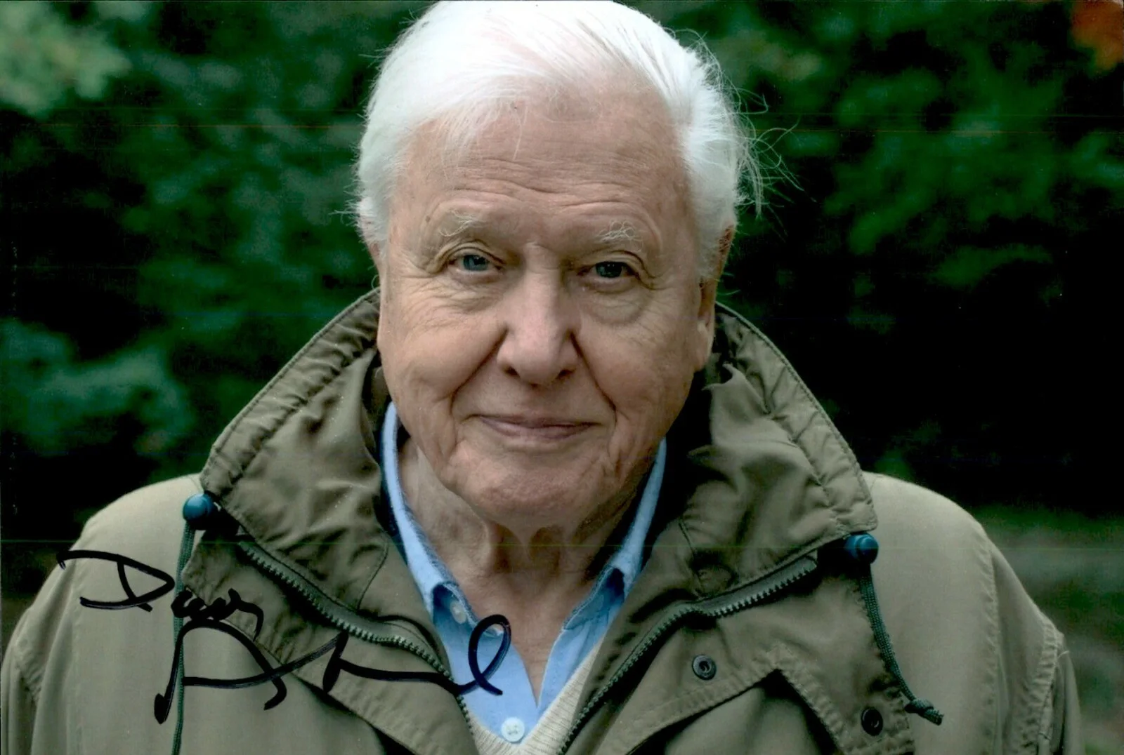 A LIFE ON OUR PLANET — David Attenborough Signed Autograph 4x6 Photo A Life On Our Planet Naturalist #2