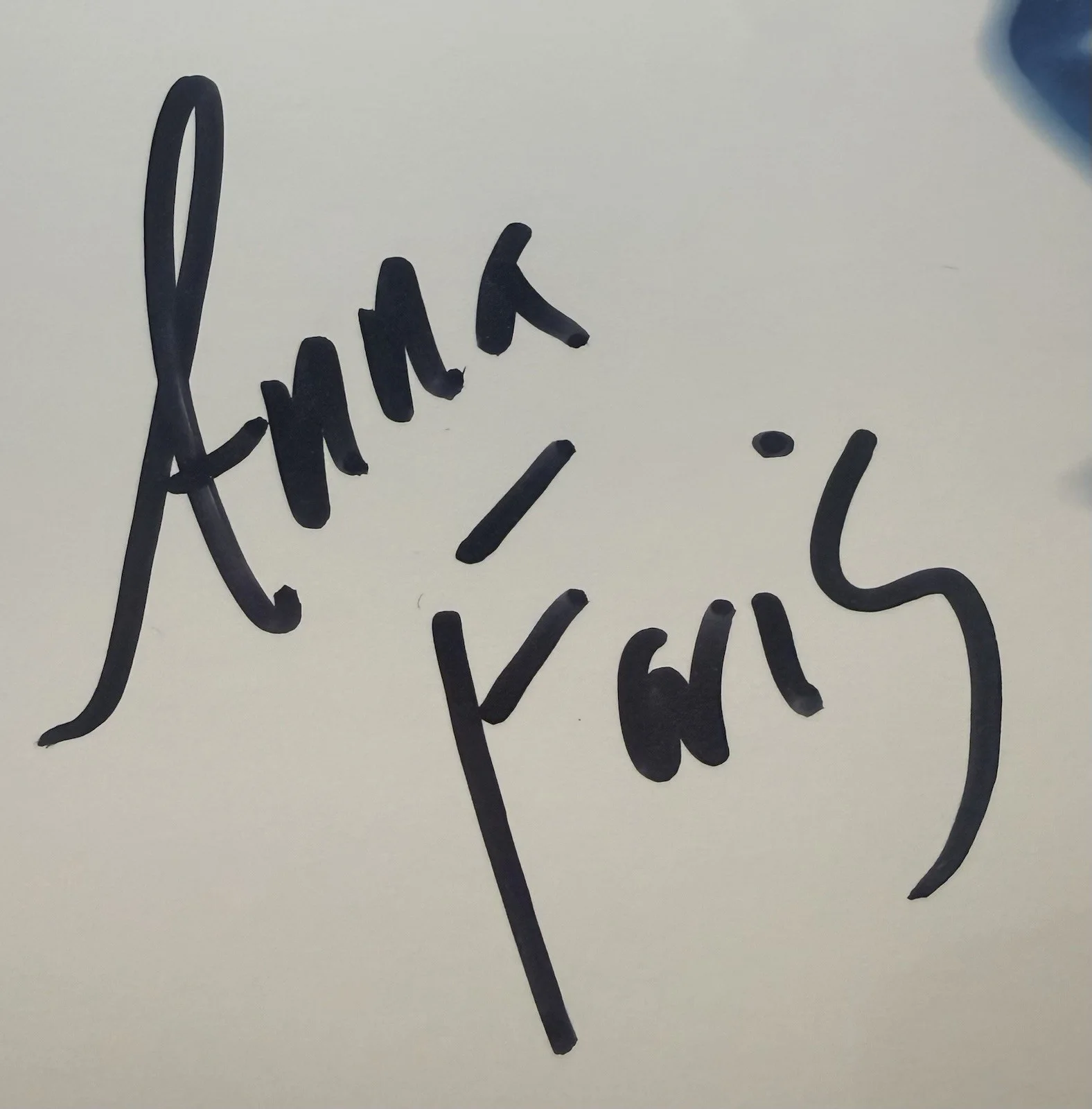 Anna Faris — Anna Faris Autograph Signed 8x10 Scary Movie 3 Cindy Photo Beckett COA, изображение 2