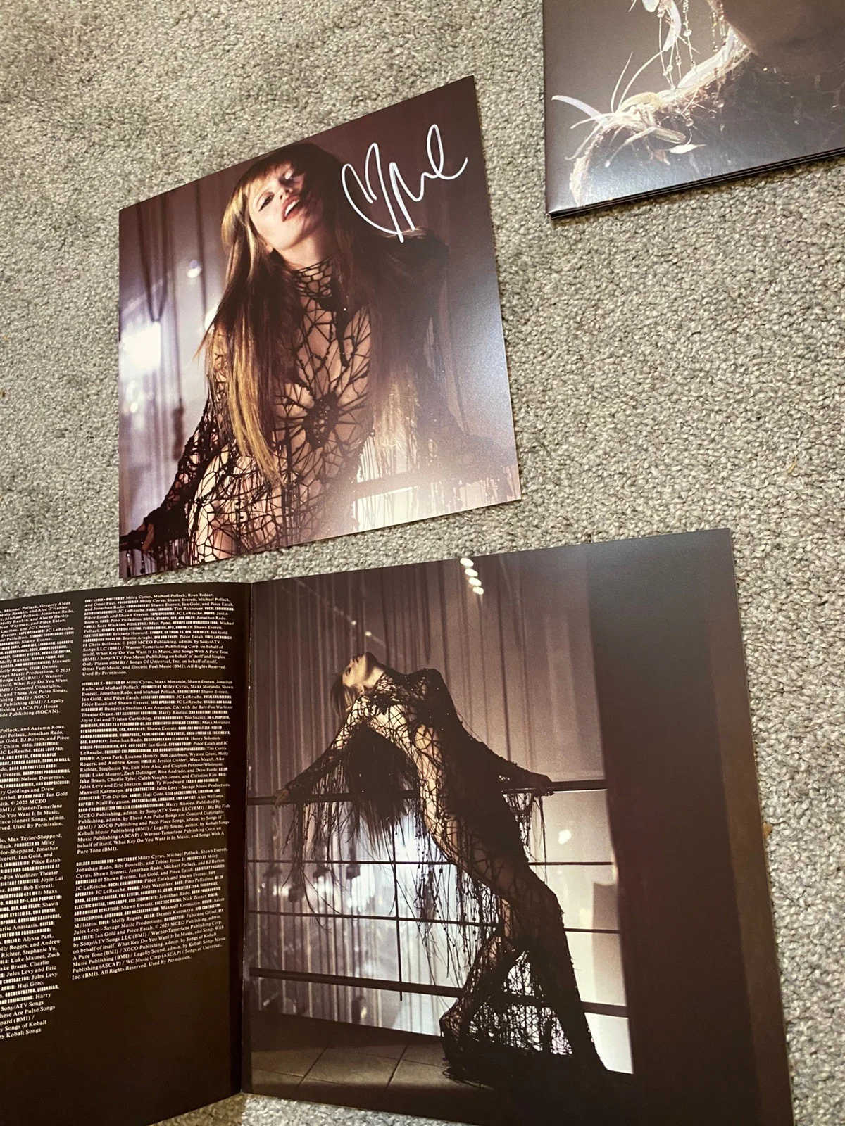 Miley Cyrus SIGNED Something Beautiful Sea Blue Vinyl RARE PERFECT AUTOGRAPH, изображение 2