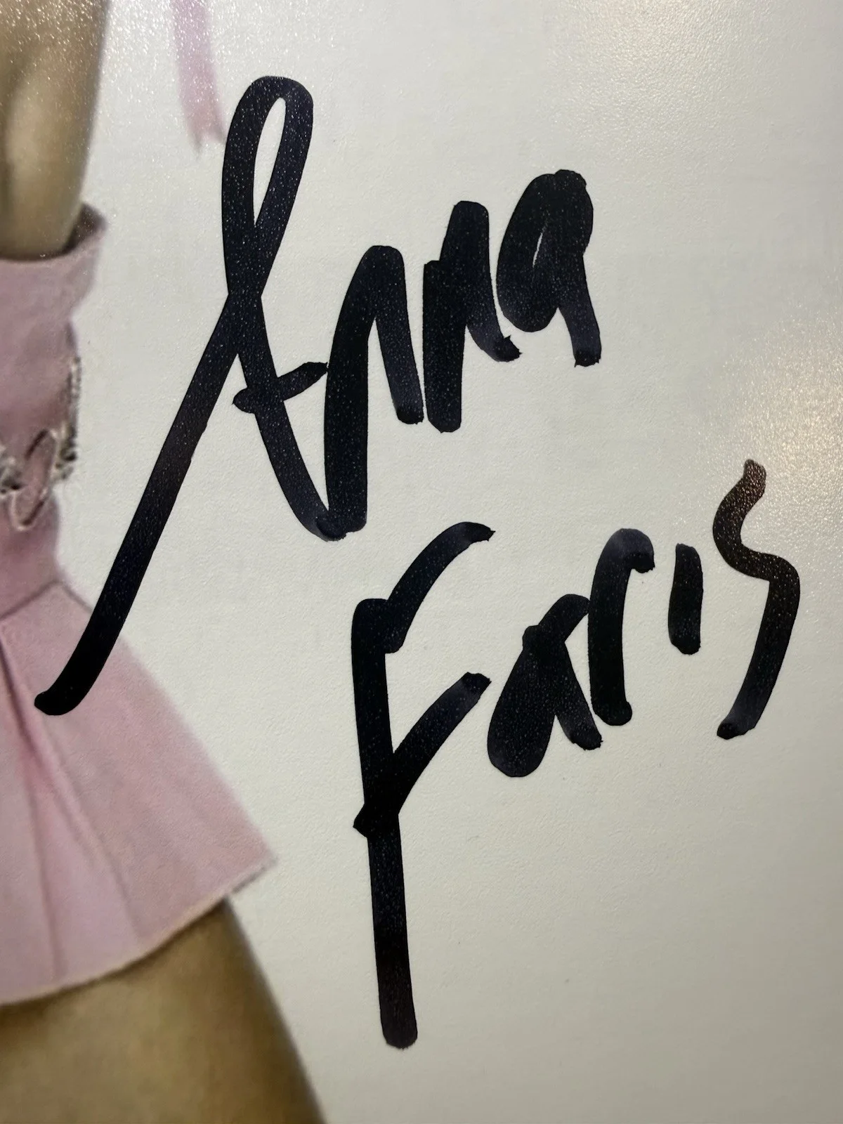 Anna Faris — Anna Faris Signed 8x10 The House Bunny Shelley Darlingson Photo Beckett COA, image 2