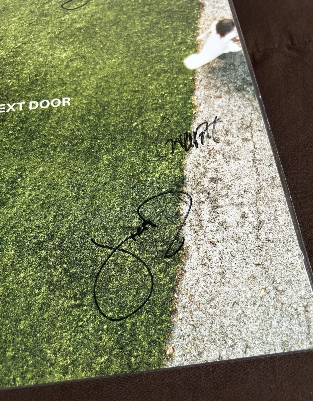 The Maine Joy Next Door Signed Full Band LP Vinyl Green White Split 2026 Sealed, image 3