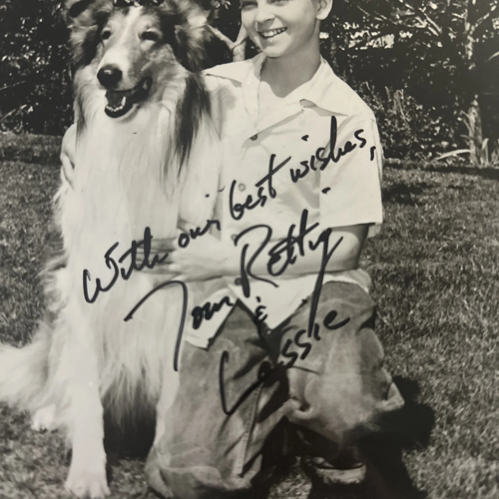 Tommy Rettig Autographed 8 X 2 Promo Photo Lassie, изображение 2