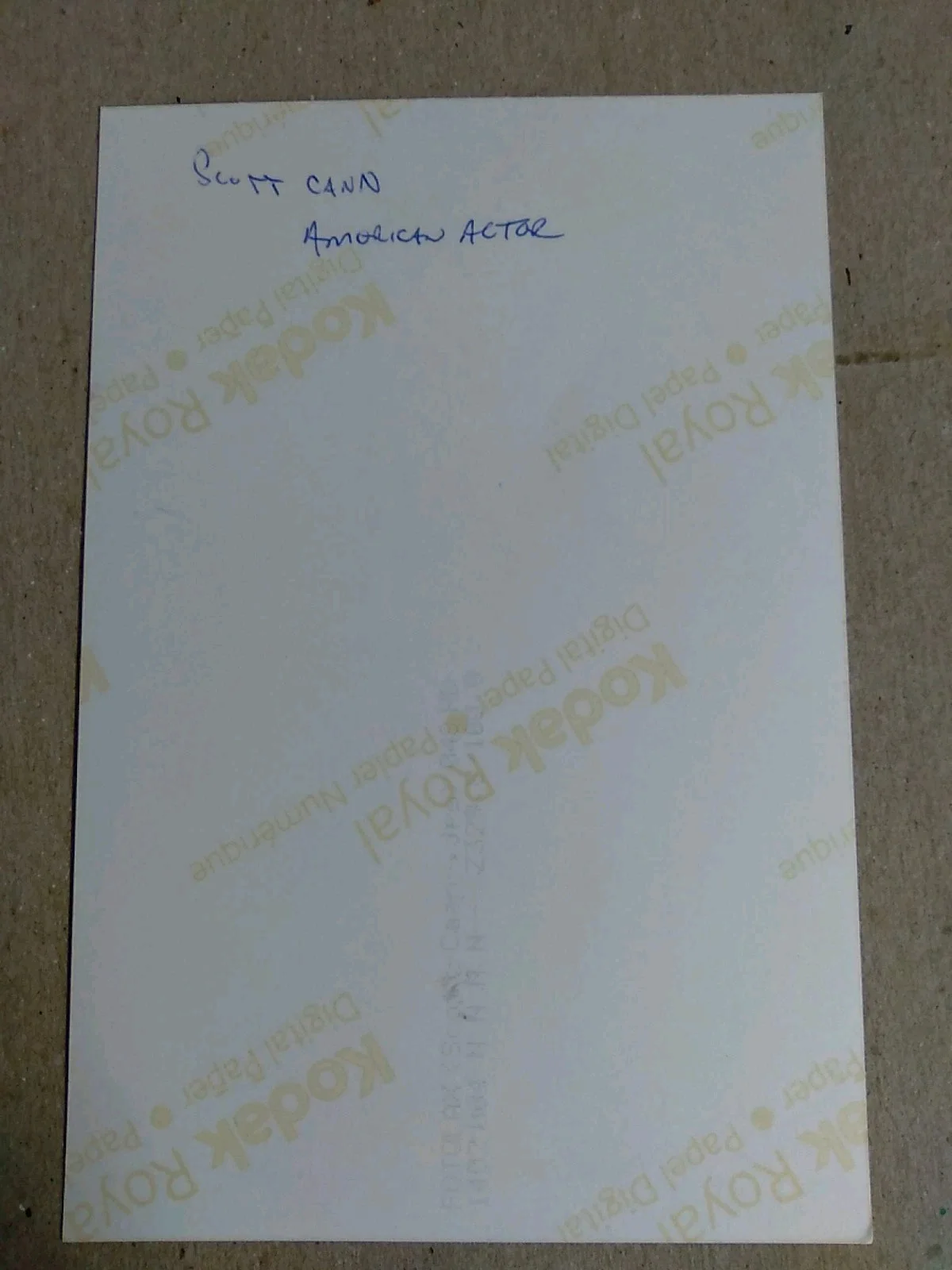Scott Caan American Actor Director Writer Producer Signed Authographed 6x4 Photo, image 4