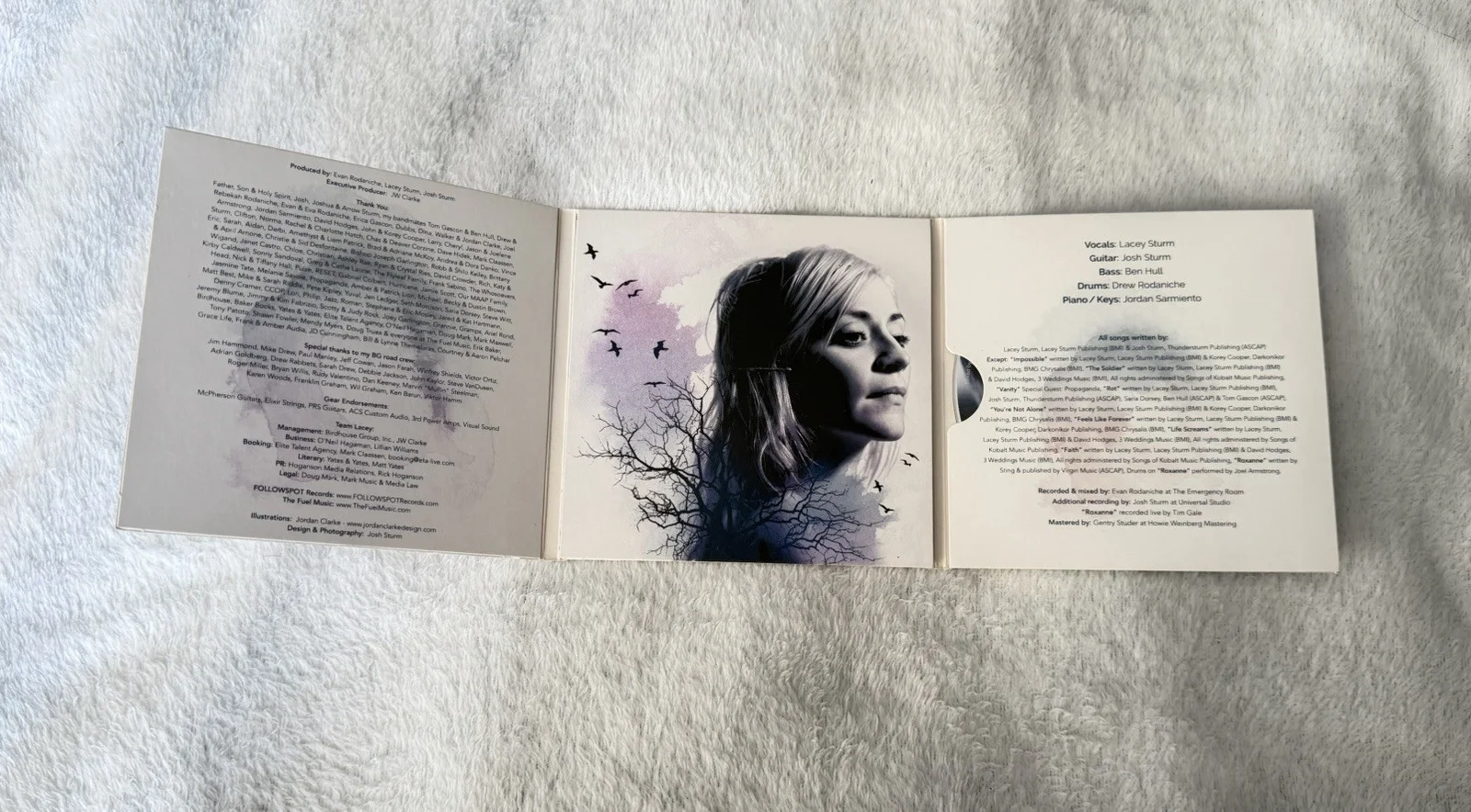 Signed Lacey Sturm Life Screams CD Autographed Flyleaf Rare, image 3