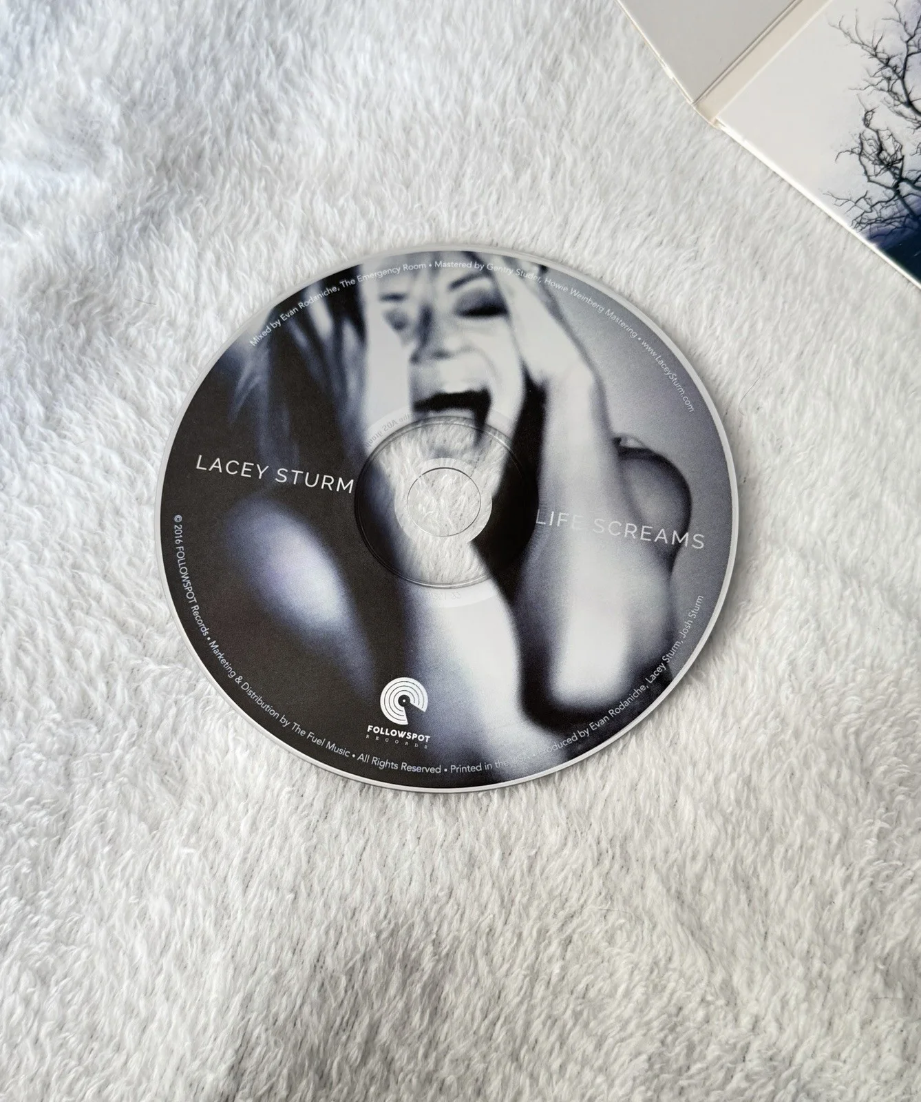 Signed Lacey Sturm Life Screams CD Autographed Flyleaf Rare, image 4