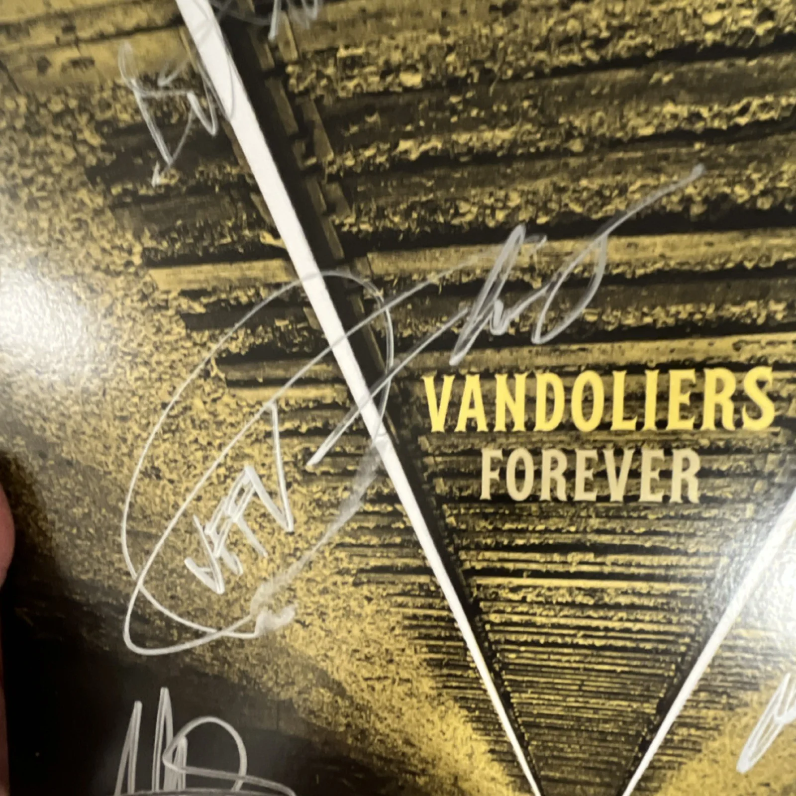 Vandoliers Forever Original Autographed Vinyl Record Music Industry Collectible, изображение 5