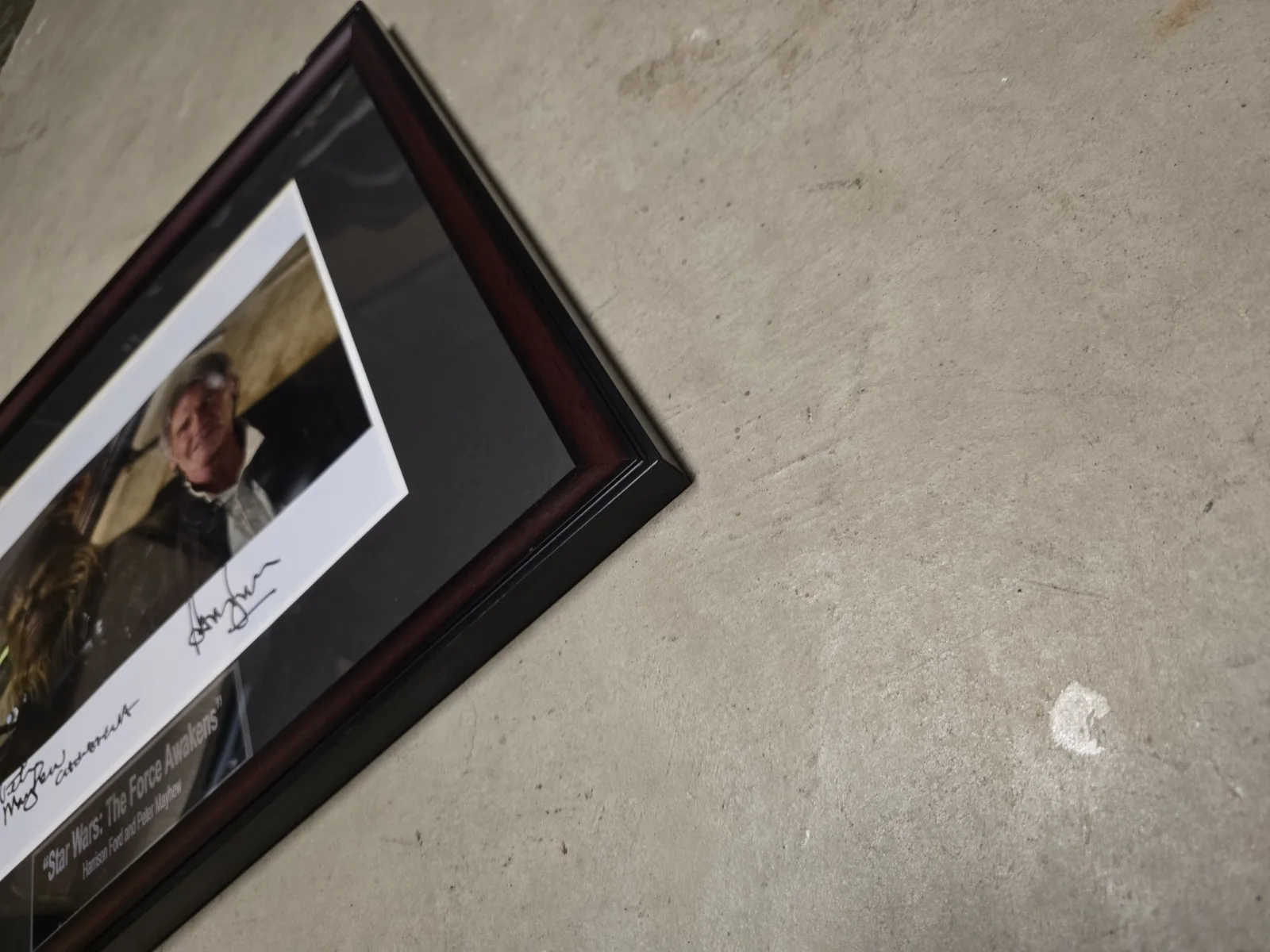 R&M Real Harrison Ford and Peter Mayhew Signed Star Wars The Force Awakens, изображение 5