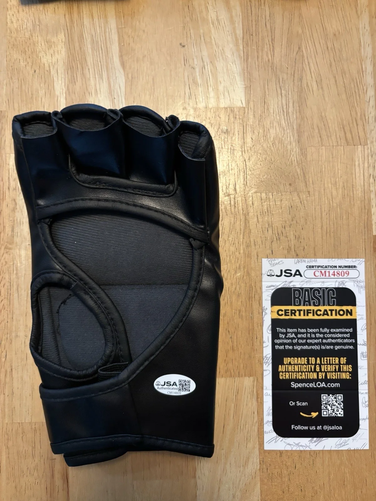 Georges St-Pierre — Georges St-Pierre Fighter Autographed UFC Glove GSP Rare JSA COA, image 2