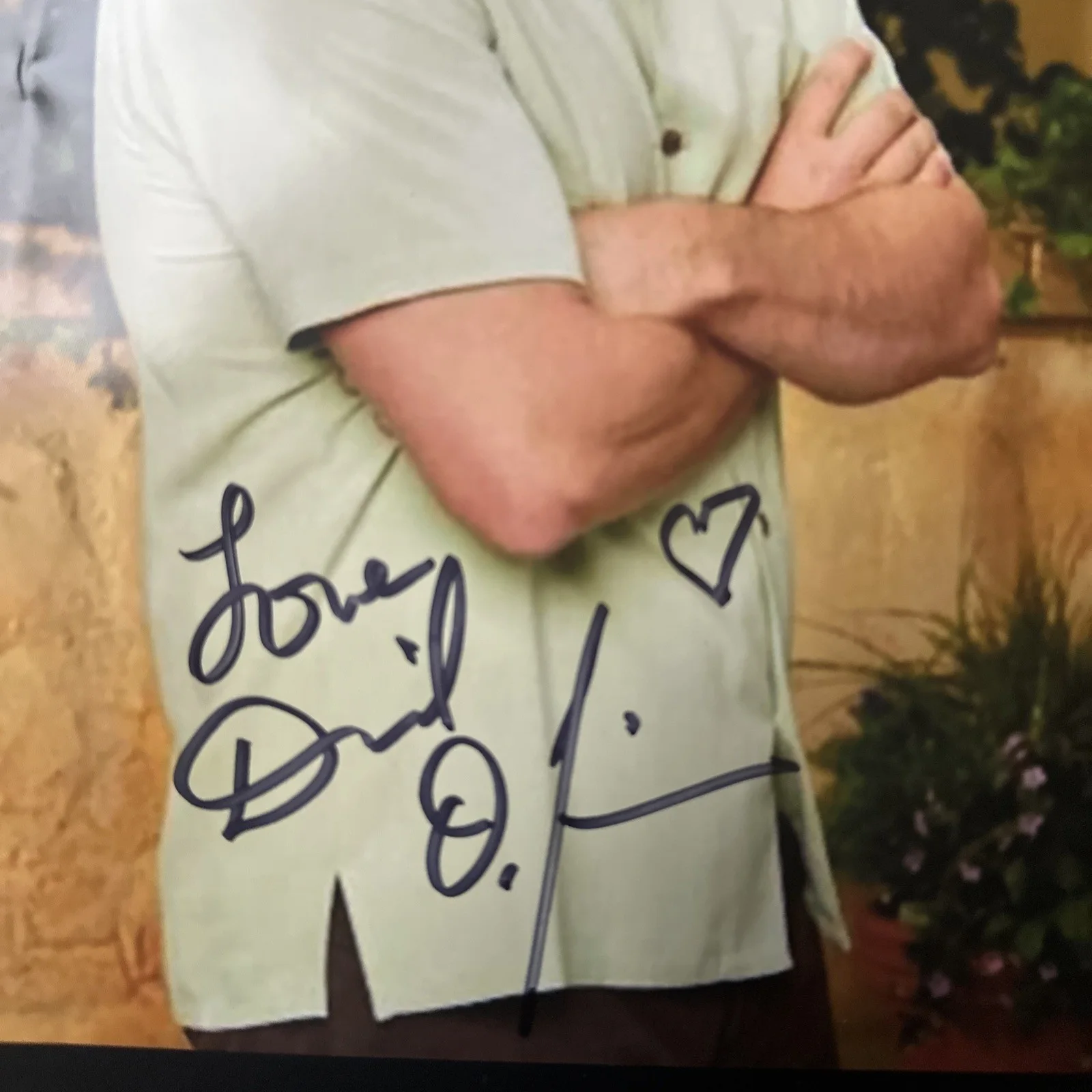 David DeLuise Wizards Of Waverly Pl., Disney Signed Autographed 8 X 10 Photo, изображение 2