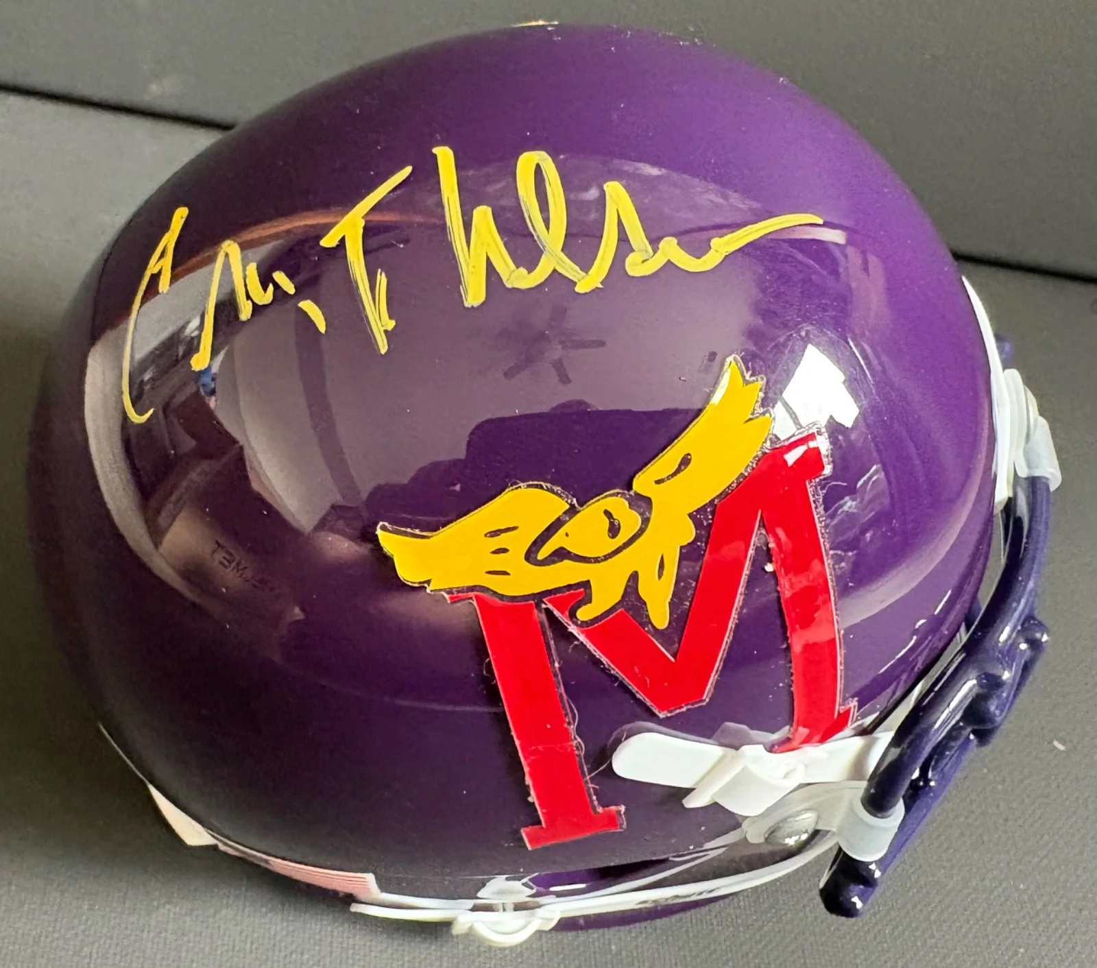 Craig T. Nelson — Craig T Nelson HAYDEN FOX Autographed Signed TV Show COACH Mini Helmet Beckett