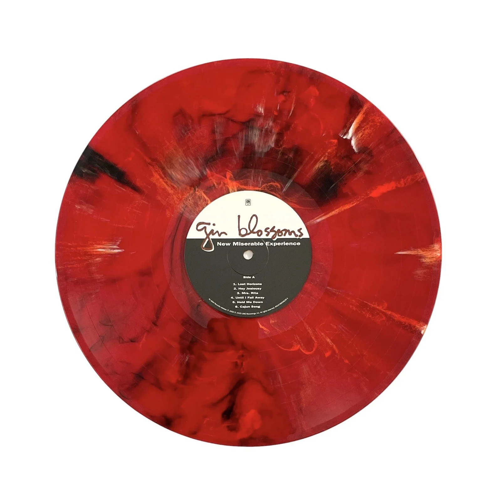 Gin Blossoms Autographed New Miserable Experience Red Marbled Vinyl Album Record, image 4