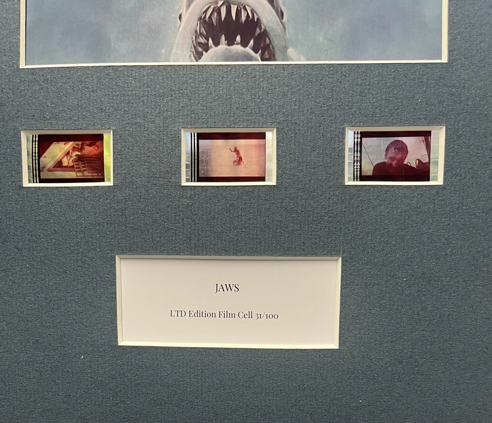 JAWS. 35mm Film Cell MOUNTED DISPLAY, image 3