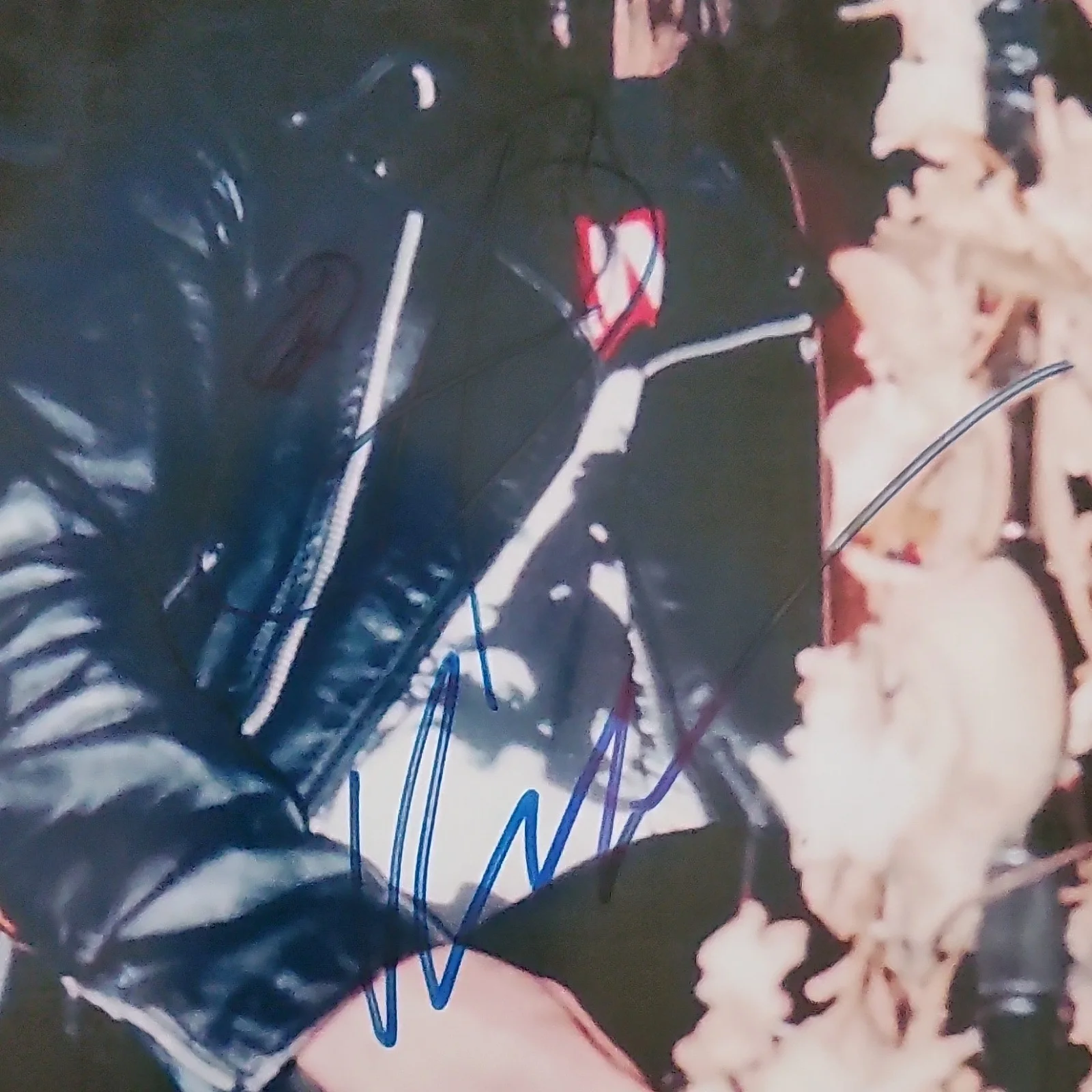Ministry Al Jourgensen Authentication By Mark Belluomini COA, image 2