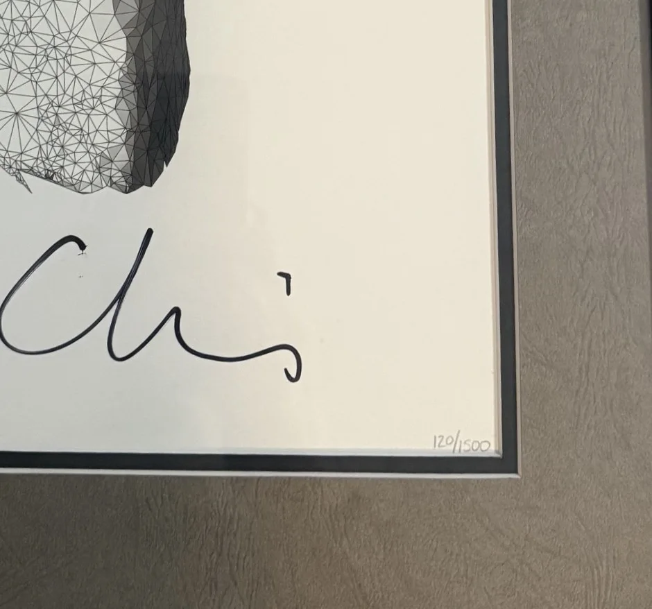 REAL signed COLDPLAY x 4 auto FRAMED 16"x 16" LITHO A Rush of Blood to the Head, image 3