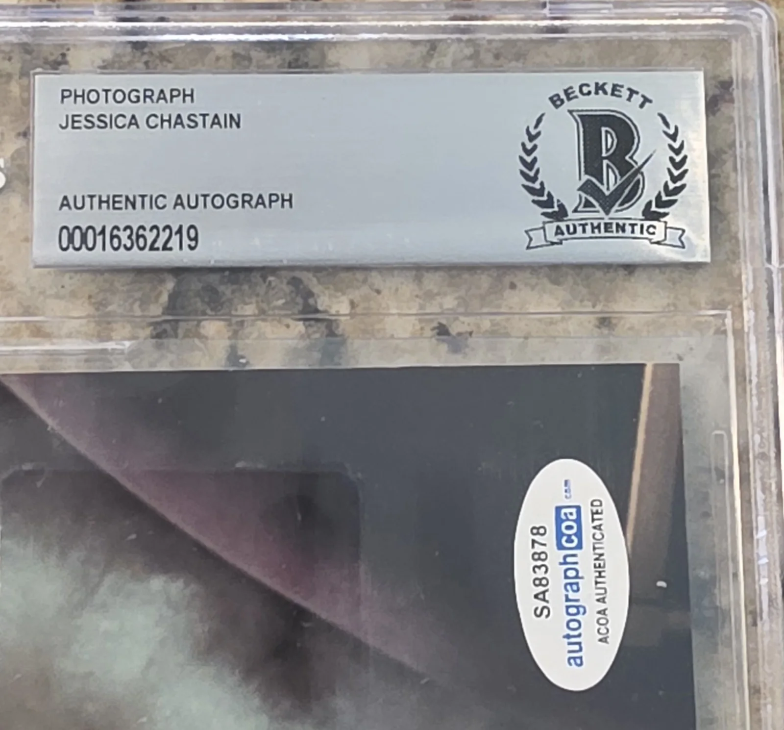 Jessica Chastain — Jessica Chastain Signed Autographed 8x10 Photo Beckett BAS COA & Encased, image 4