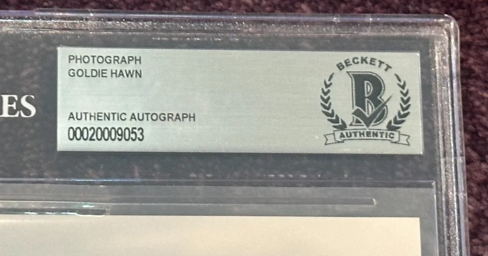 GOLDIE HAWN — GOLDIE HAWN Signed 8 X 10 PHOTO Beckett Encapsulated, изображение 4