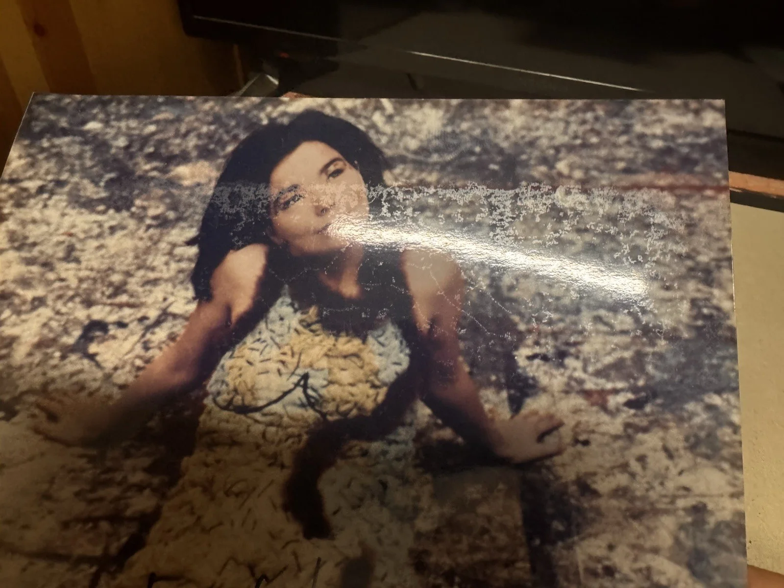 Bjork Signed 8x11 Color Photo Signed In Person, image 2