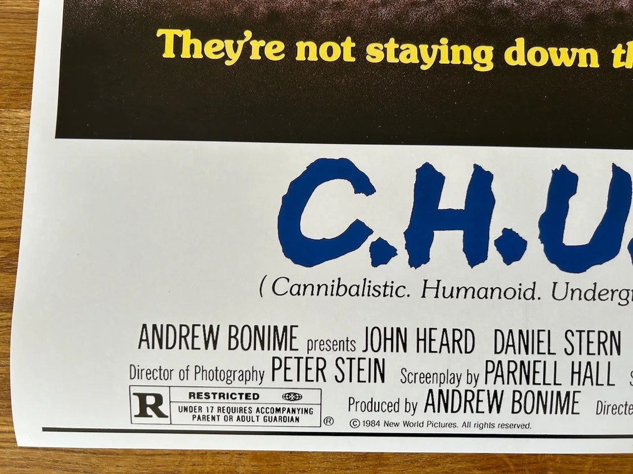 Poster C.H.U.D. size 430mm x 660mm (bit bigger than A2), изображение 4