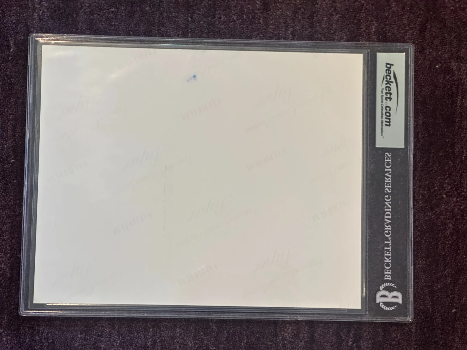 RYAN REYNOLDS — RYAN REYNOLDS Signed 8 X 10 PHOTO Beckett Encapsulated, image 4
