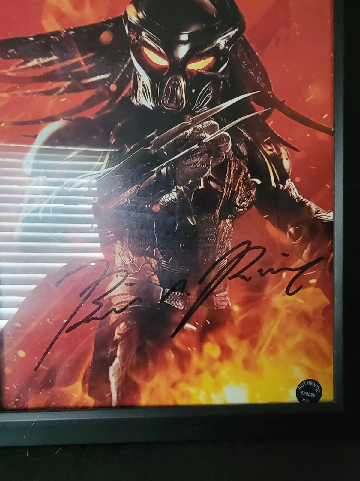 Framed Predator 8x10 Photo Autographed By Brian Prince With COA Hologram, image 2