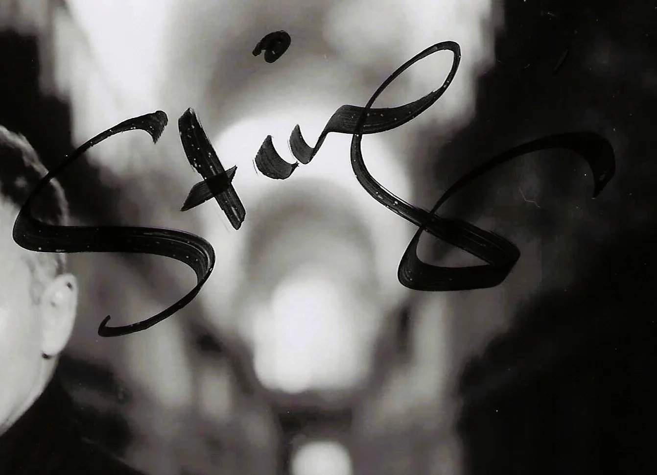 STING signed autographed 8x10 photo with COA, image 2