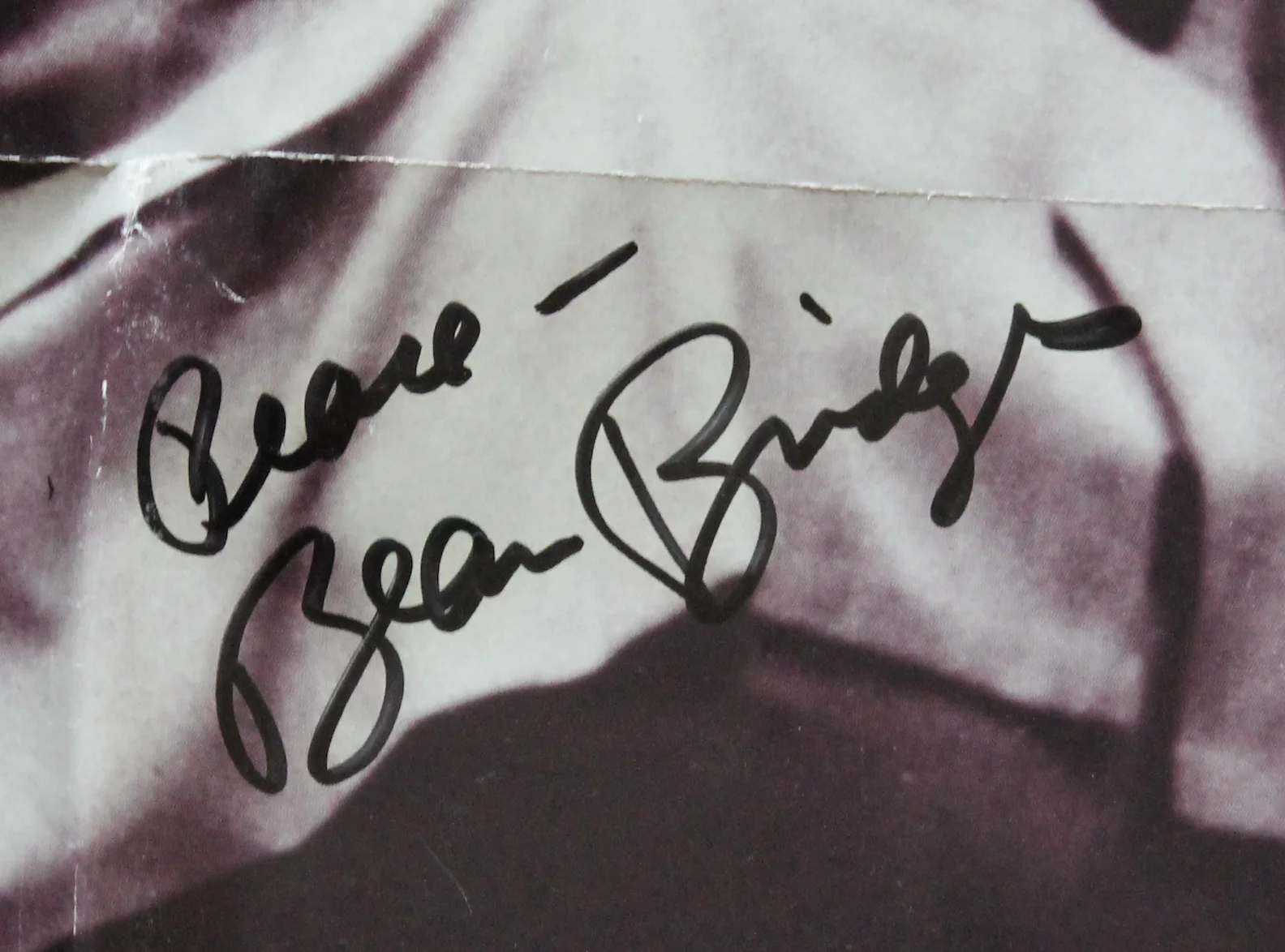 Beau Bridges Without Warning Autographed Signed Movie Poster AMCo COA 3416, изображение 2