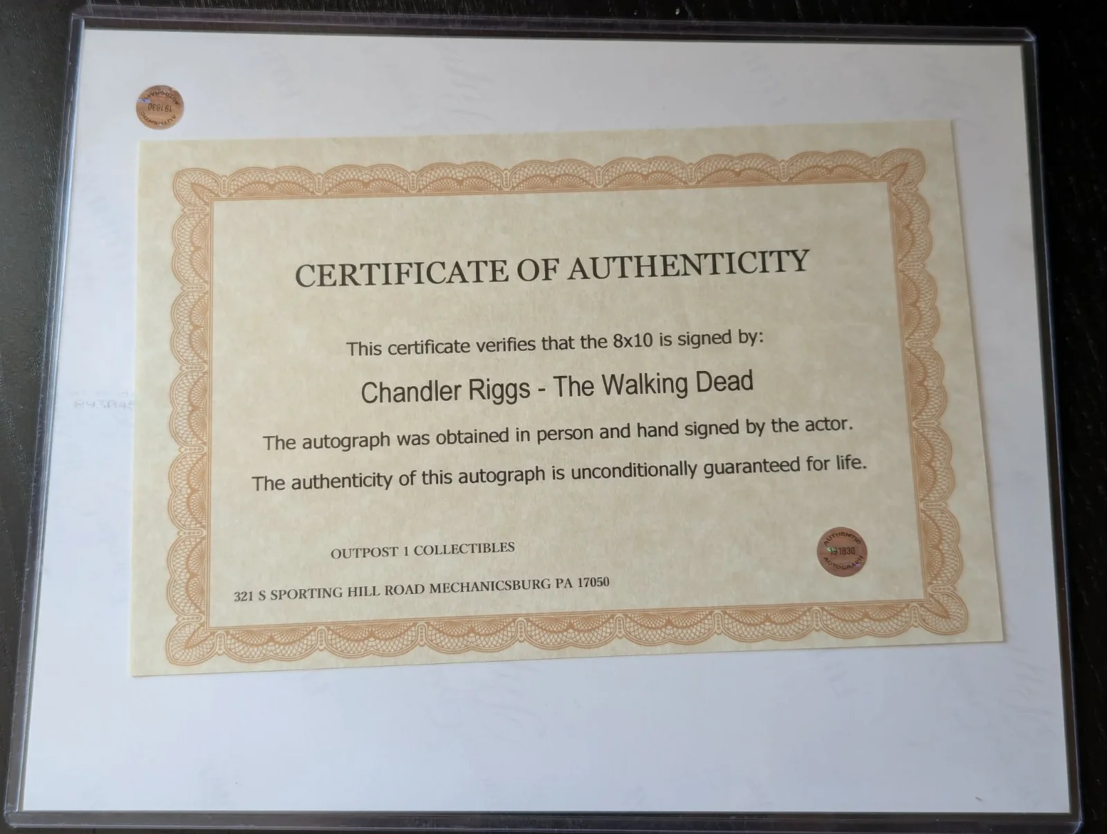 Chandler Riggs — The Walking Dead- Chandler Riggs, Carl Grimes signed 8x10 photo COA, image 2