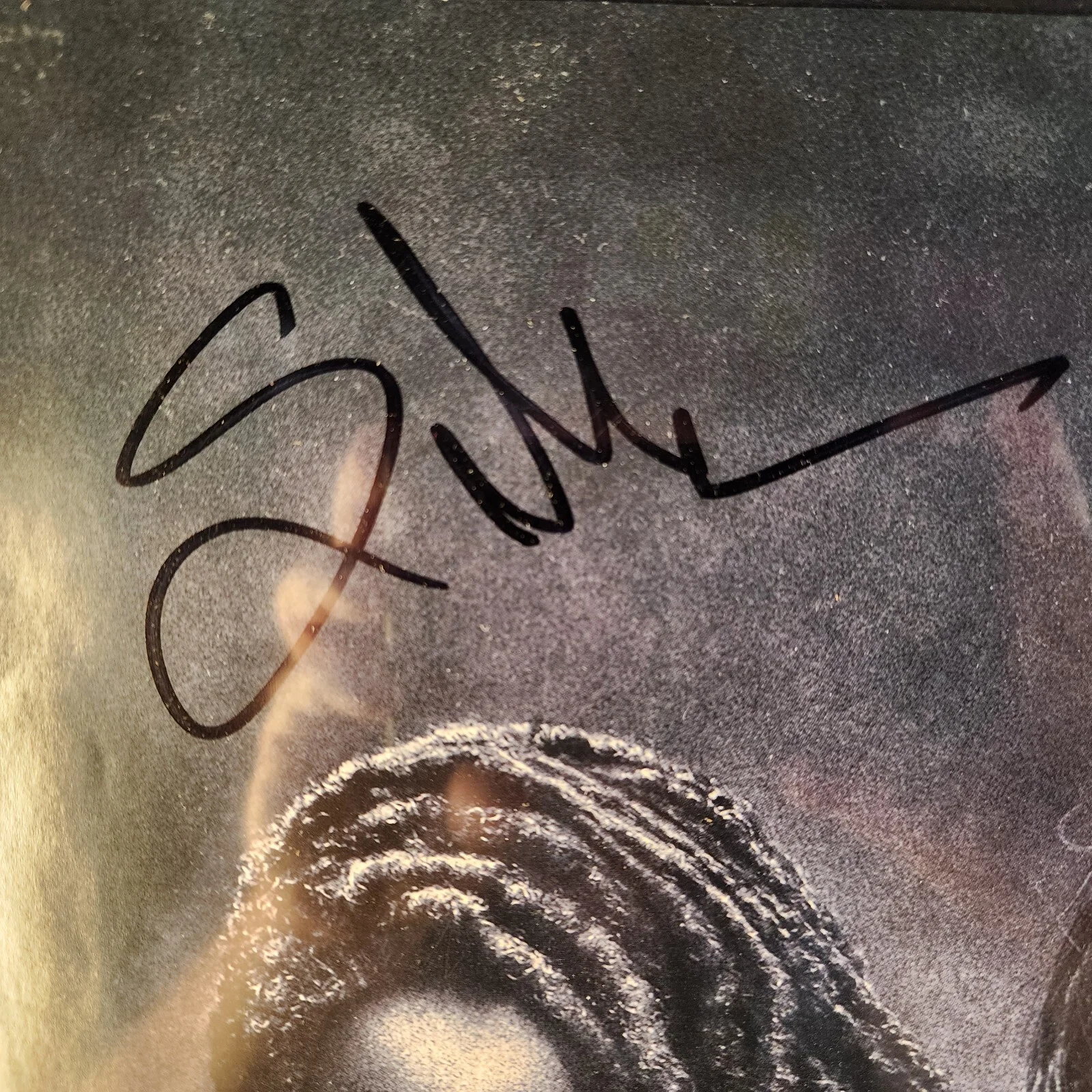 Póster SDCC 2019 San Diego Comic Con Walking Dead 14x19 12 firmas autógrafas, изображение 2