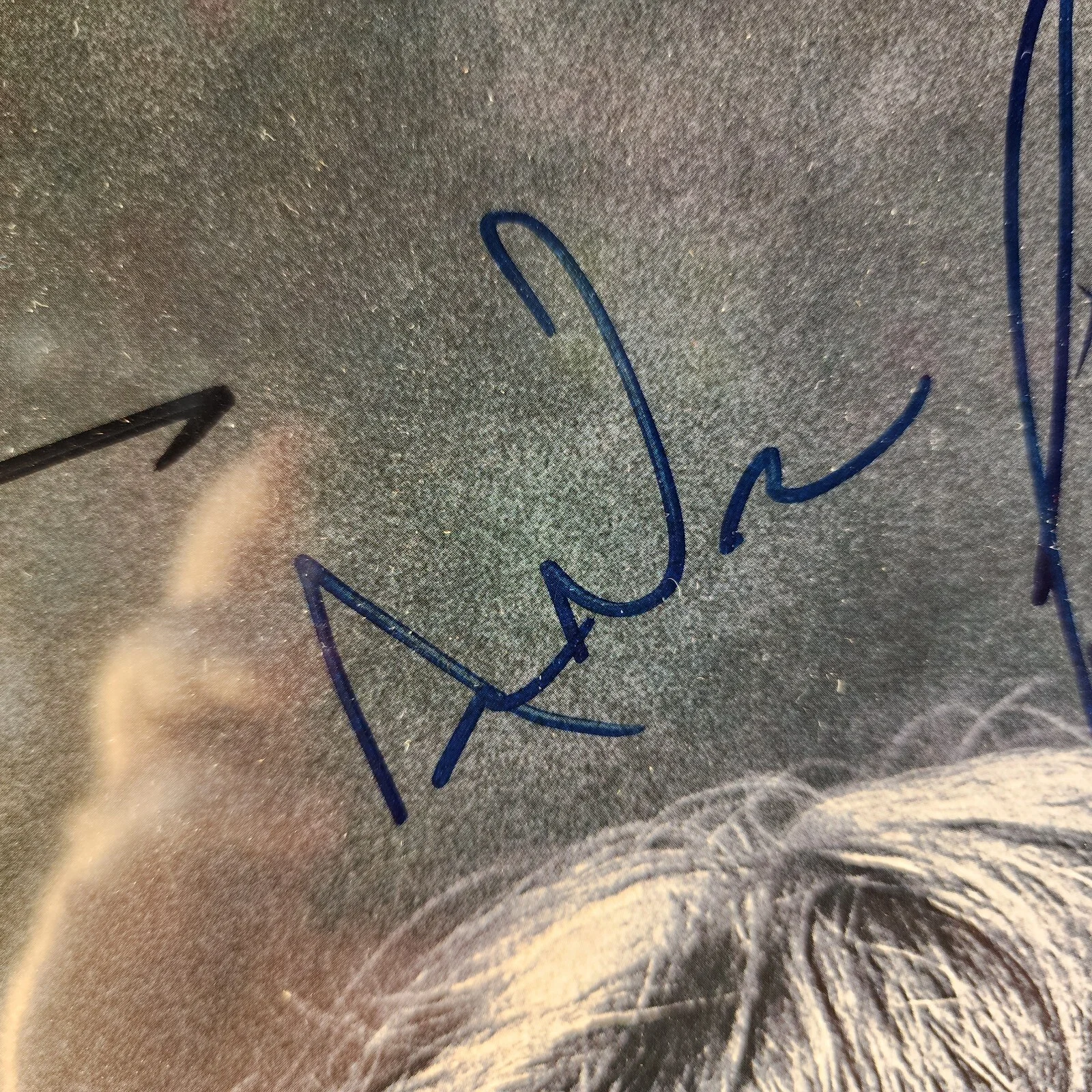 Póster SDCC 2019 San Diego Comic Con Walking Dead 14x19 12 firmas autógrafas, изображение 3