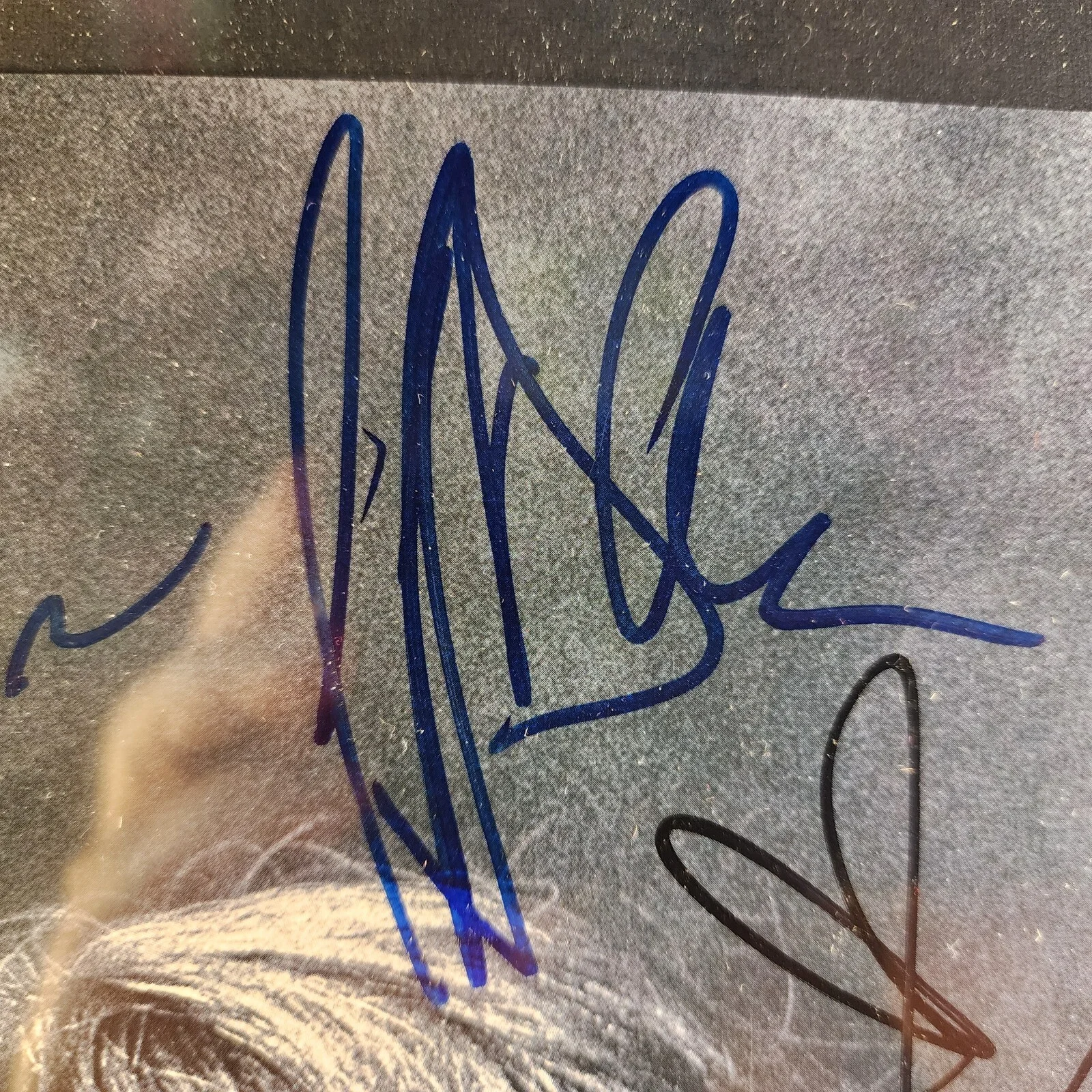 Póster SDCC 2019 San Diego Comic Con Walking Dead 14x19 12 firmas autógrafas, изображение 4
