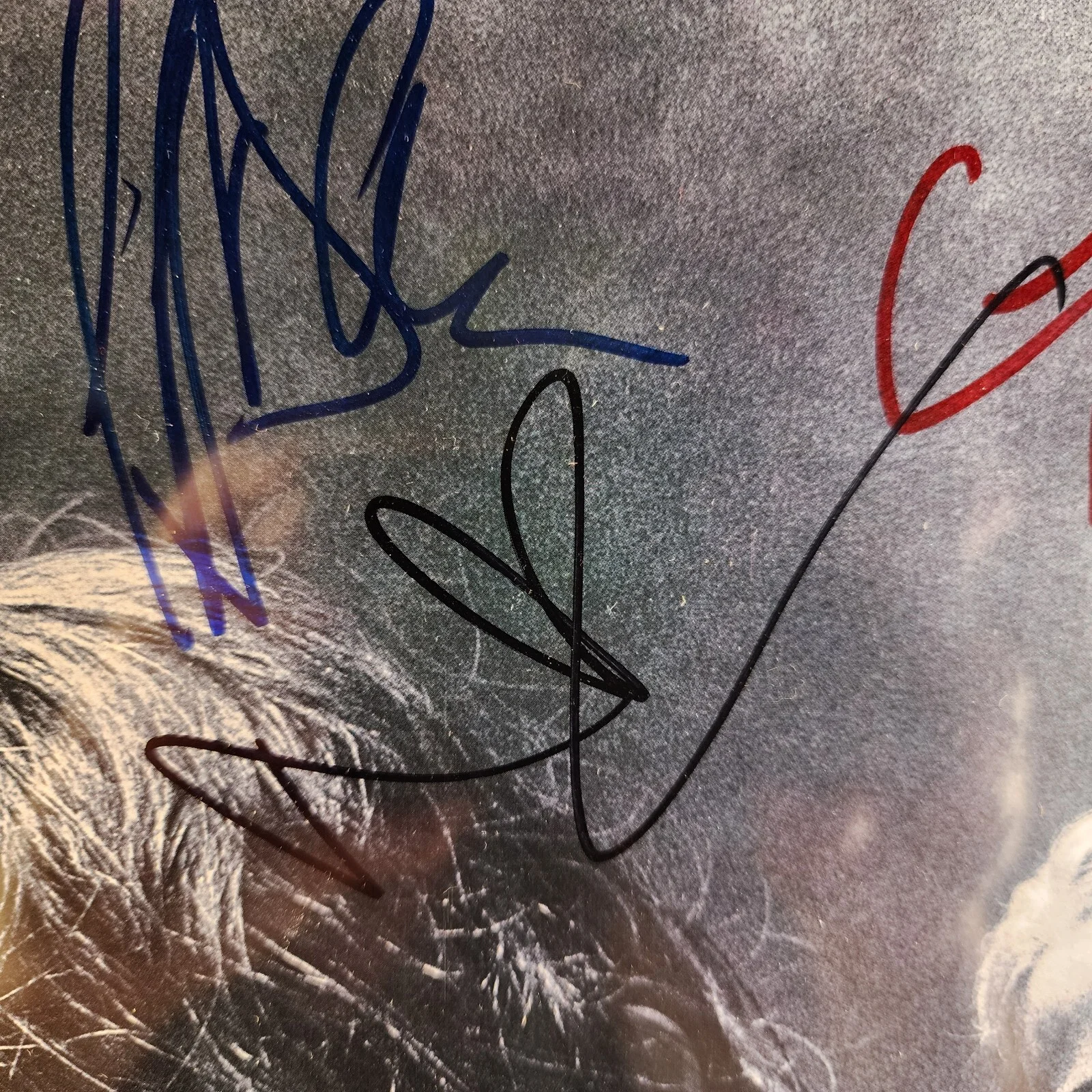 Póster SDCC 2019 San Diego Comic Con Walking Dead 14x19 12 firmas autógrafas, изображение 5