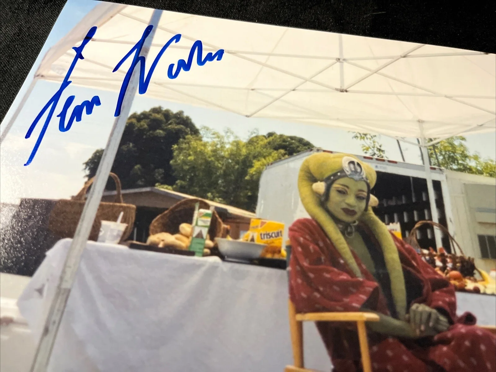 Femi Taylor — Femi Taylor OOLA Signed 8x10 Photo Sexy STAR WARS RETURN OF THE JEDI COA, изображение 2