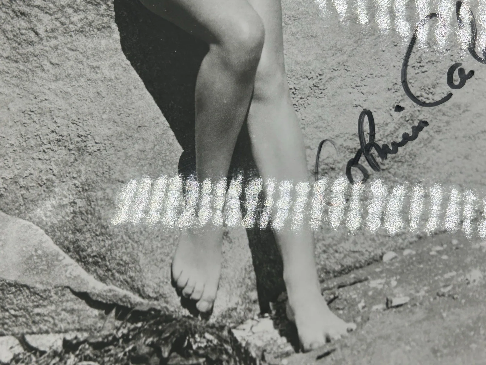 Corinne Calvet — CORINNE CALVET SEXY HAND SIGNED 8x10 PHOTO Original Autograph JSA Rope of Sand, изображение 5