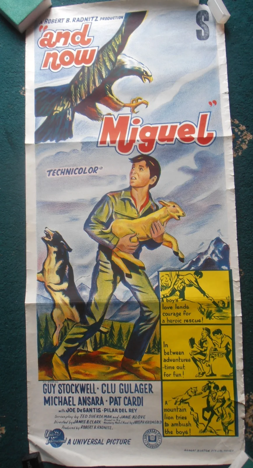 AND NOW MIGUEL AUSTRIALIAN DAY BILL (1966) ORIGINAL, ROLLED VG GUY STOCKWELL, изображение 3