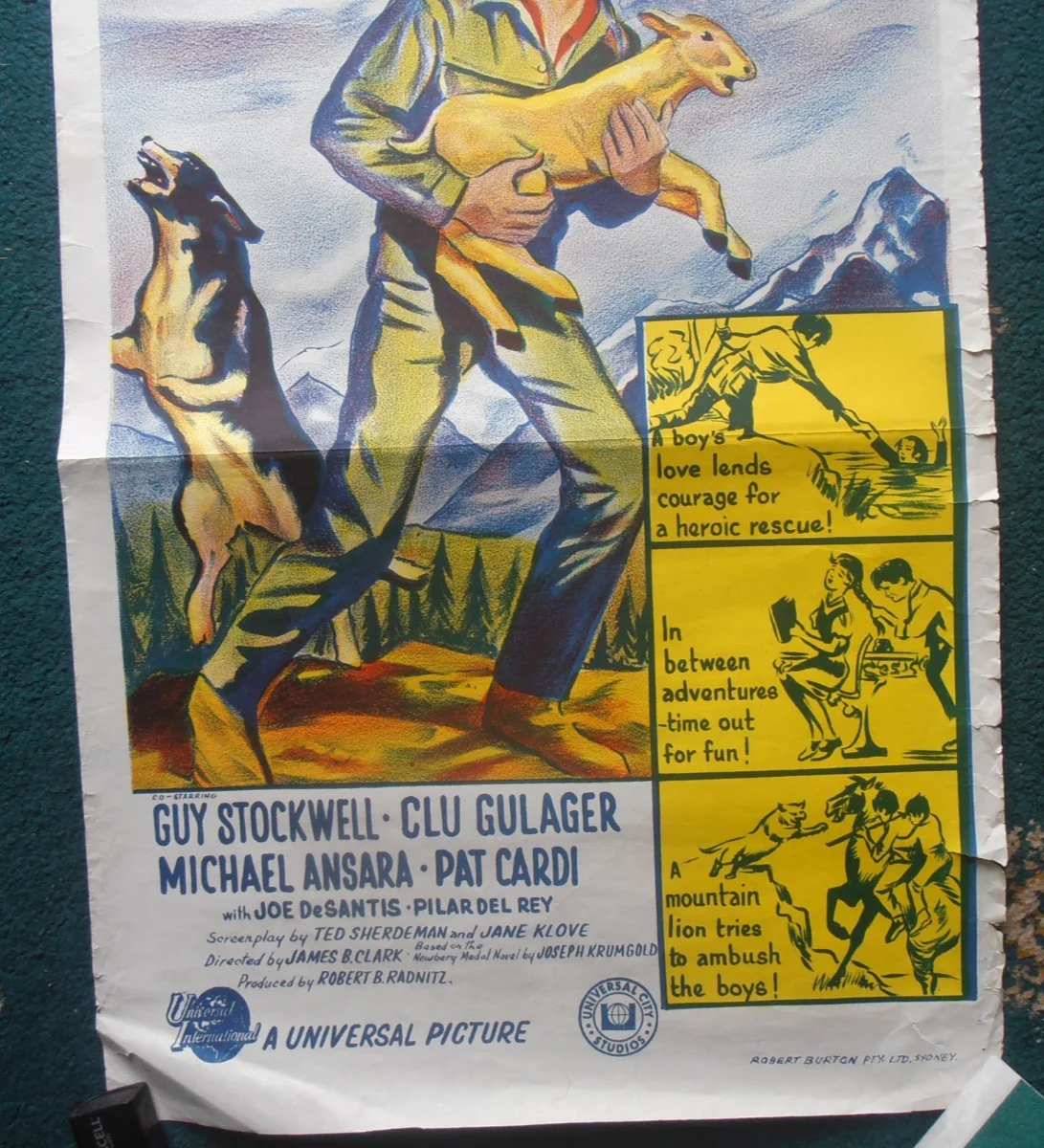 AND NOW MIGUEL AUSTRIALIAN DAY BILL (1966) ORIGINAL, ROLLED VG GUY STOCKWELL, изображение 5