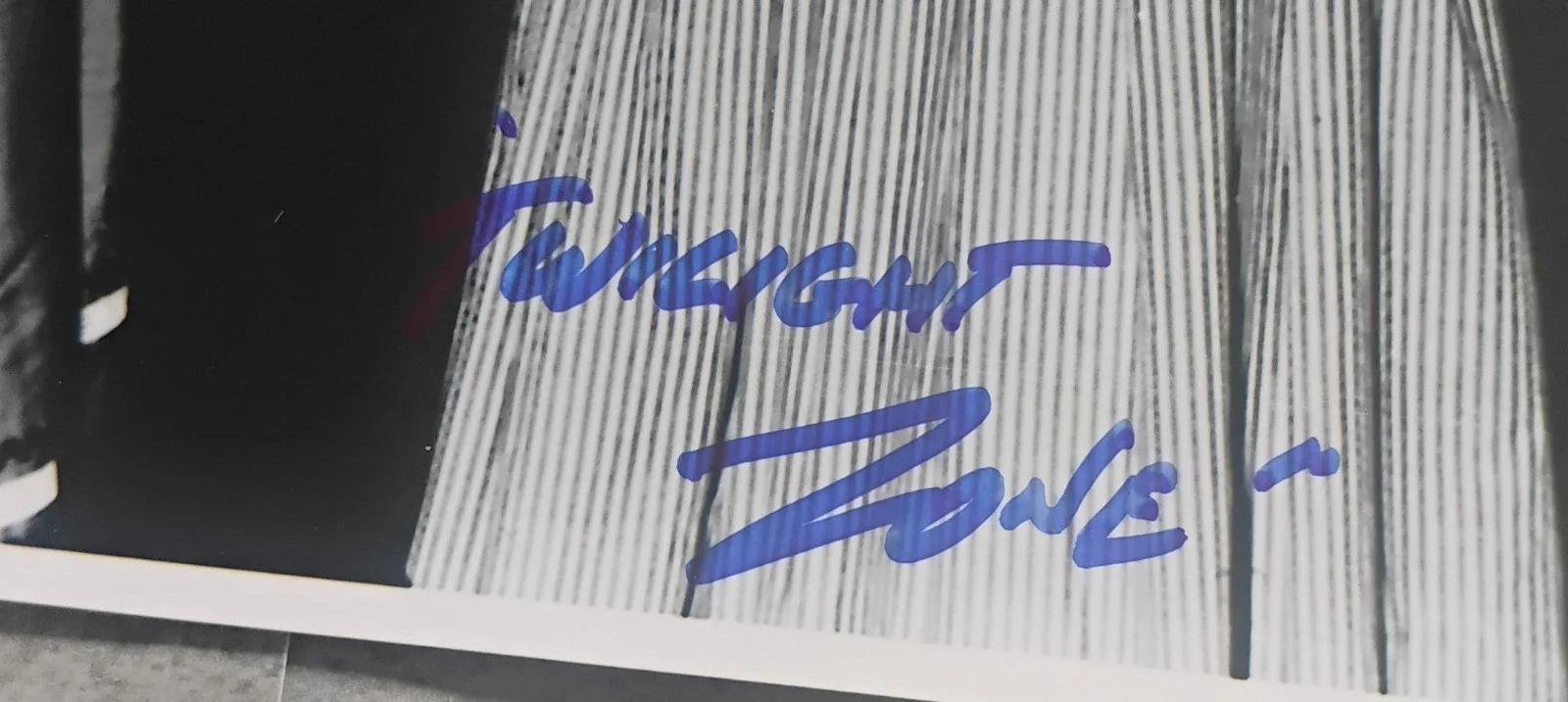 Veronica Cartwright Hand Signed 8x10 Photo COA Twilight Zone NO US TARIFFS, image 4