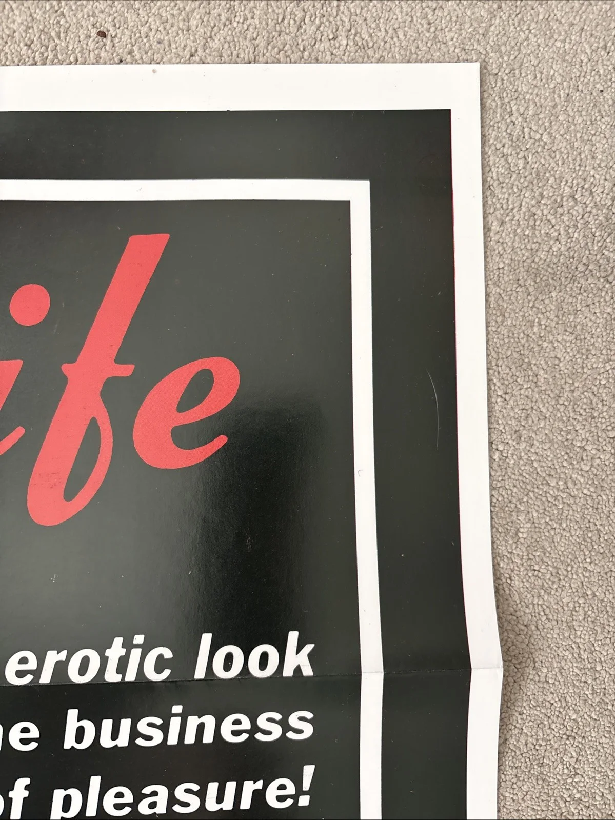 Nightlife (1982) Original US One Sheet Movie Poster, изображение 4
