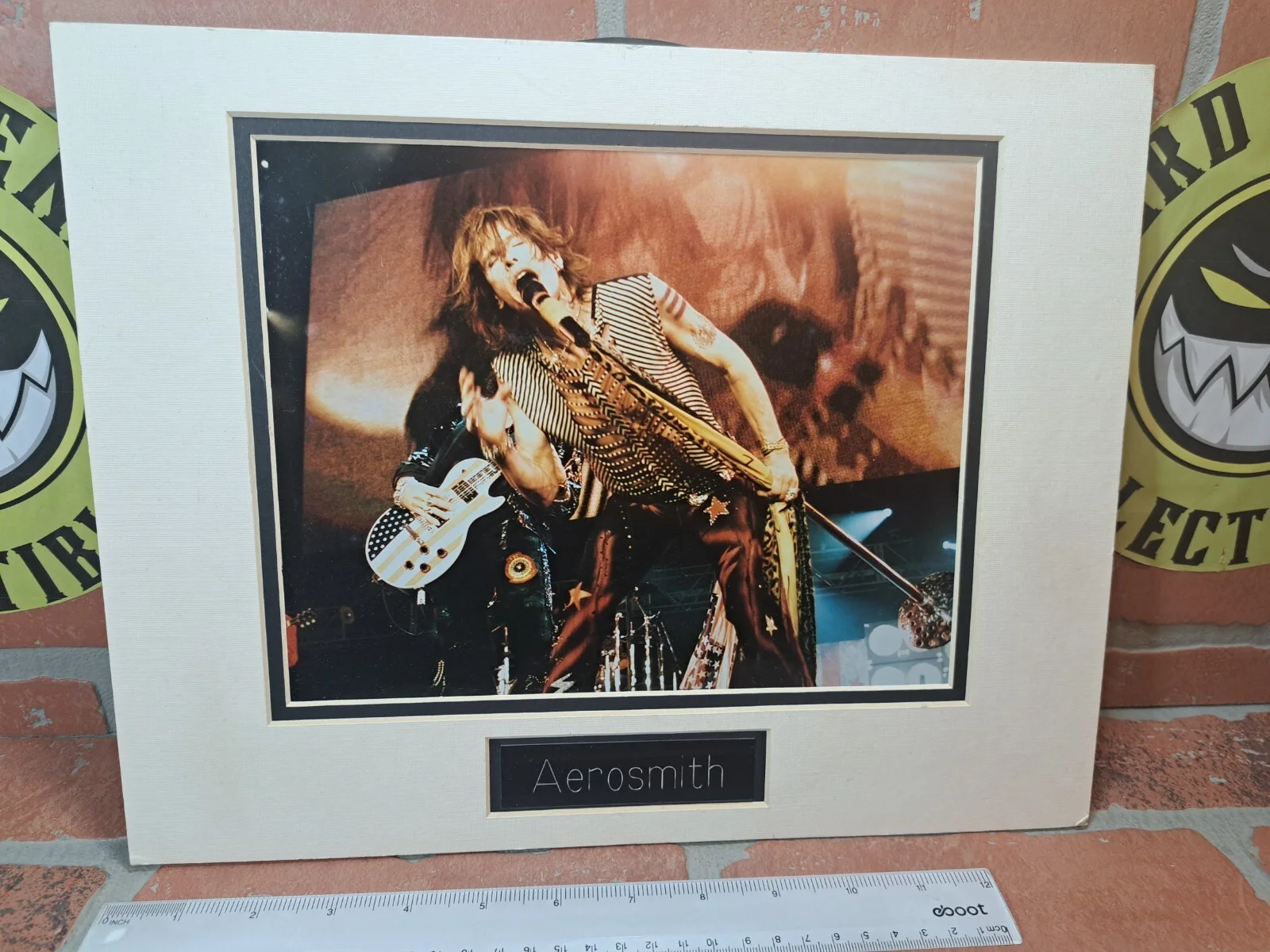 STEVEN TYLER 8x10 Matted PHOTO, image 2