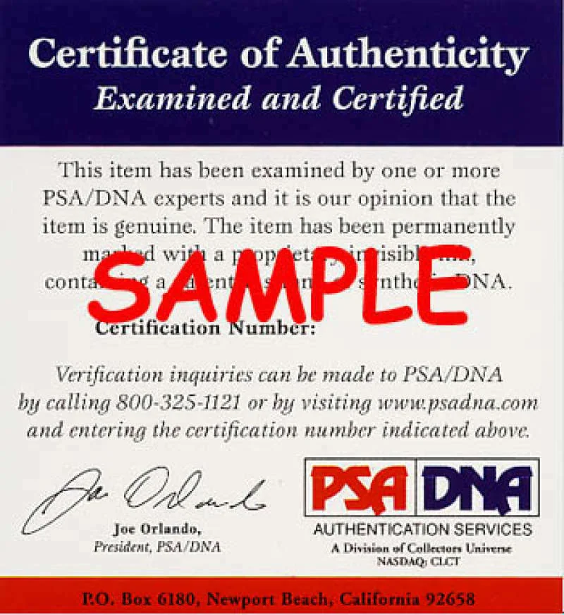 Eugenia Kuzmina — Eugenia Kuzmina Signed 8x10 Photo PSA/DNA Autograph Actress Model Rare Sexy COA, изображение 3