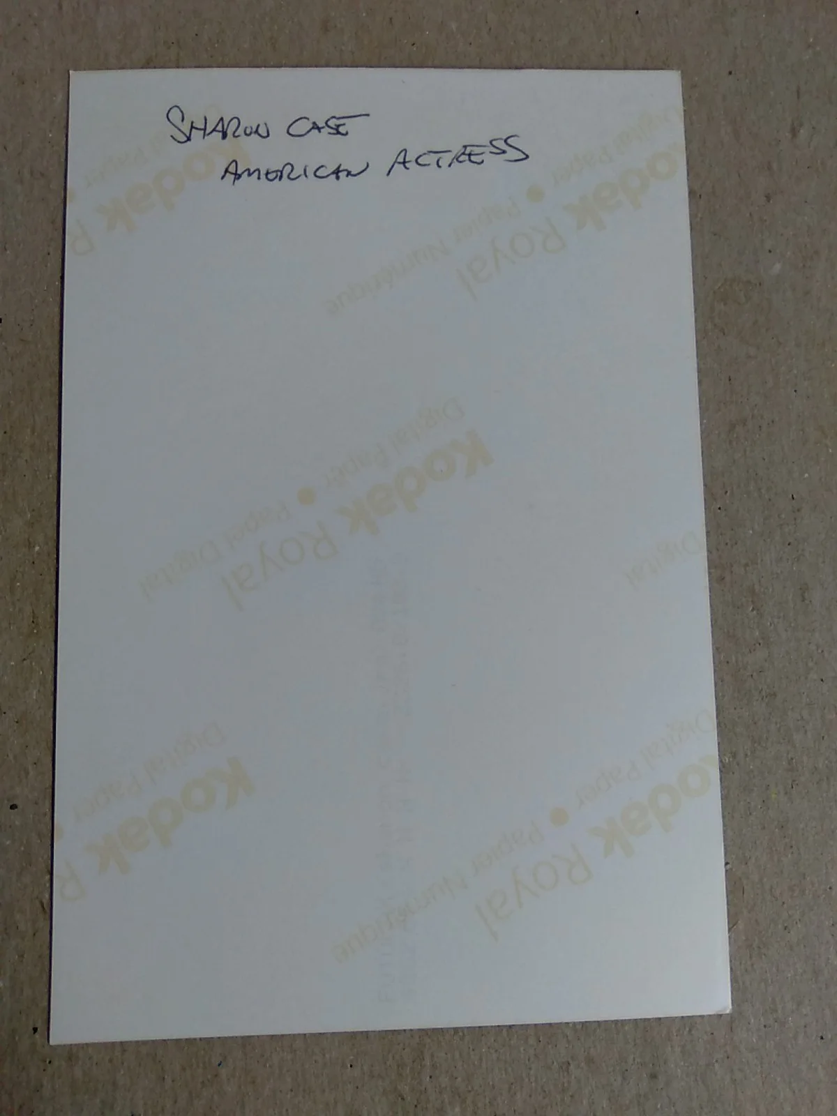 Sharon Case American Actress And Model Autographed 6x4 Photo Signed, image 4