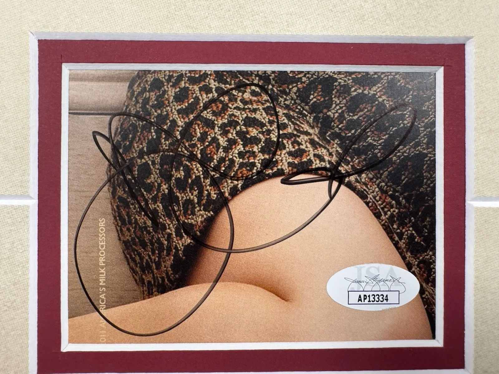 Maggie Gyllenhaal Signed Cut Jsa Auto Custom Framed Actress, image 2