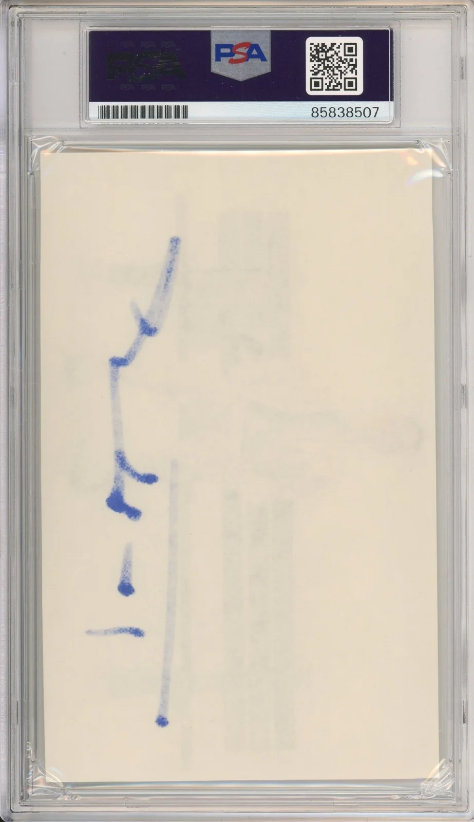 Tom Hanks — SIGNED Tom Hanks Forrest Gump Movie Picture PSA DNA COA Autograph Photograph, изображение 2